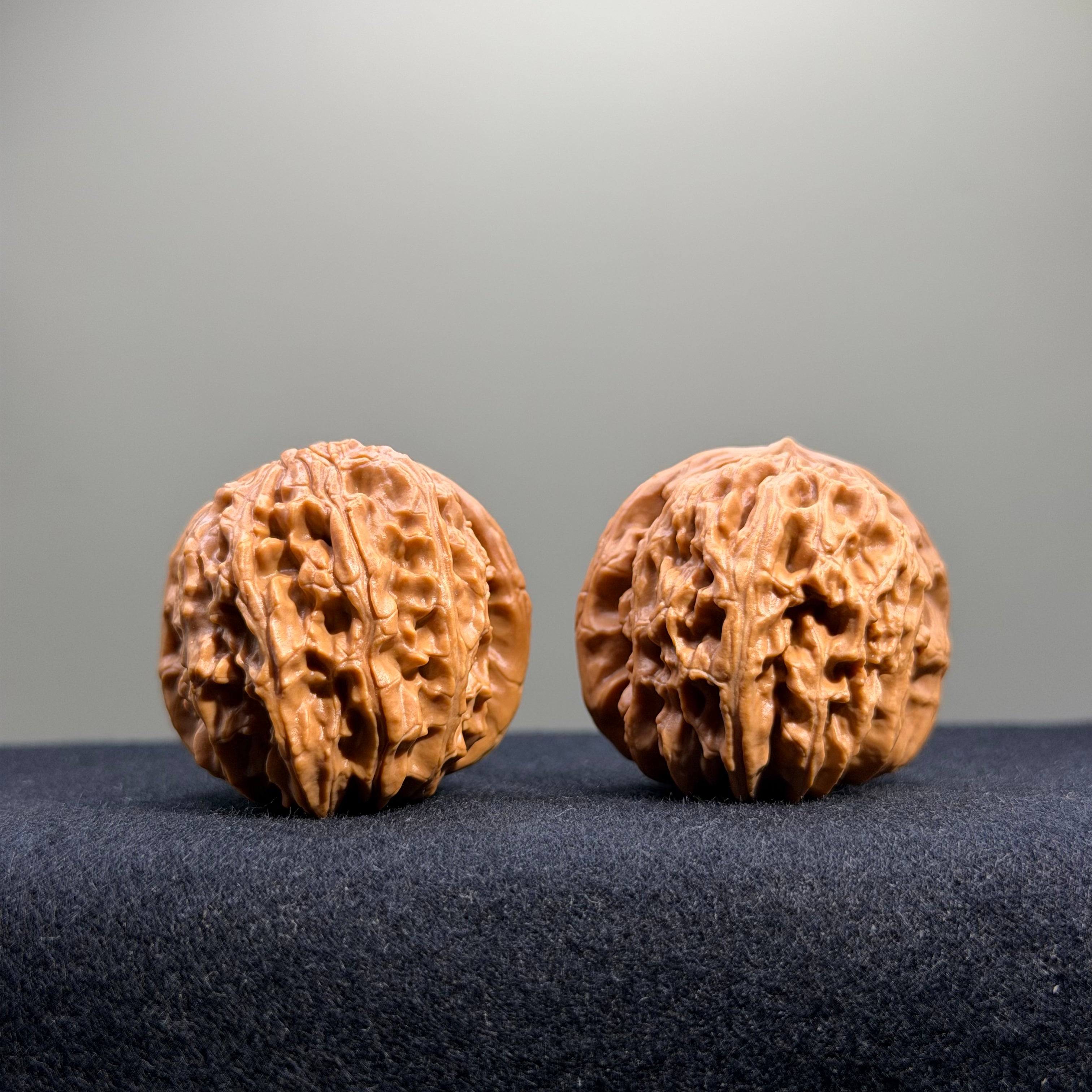 White Lion Wenwan Walnut · 36mm · Select Ritual