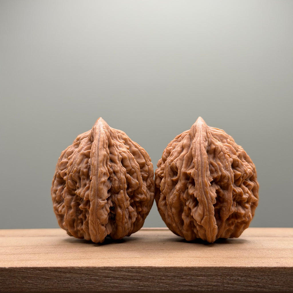 Wheat Ear Tiger Head Walnut