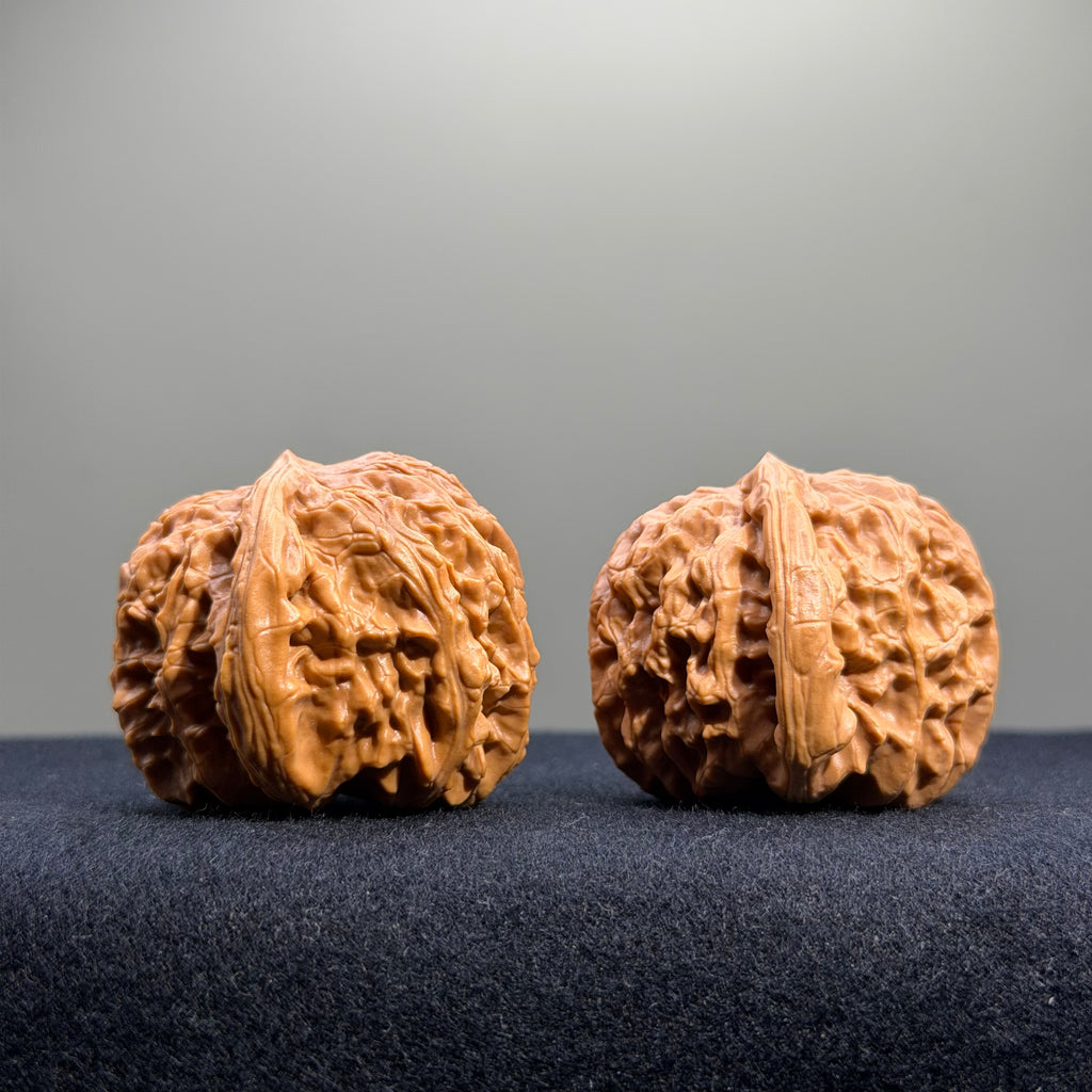 White Lion Wenwan Walnut · 36mm · Select Ritual