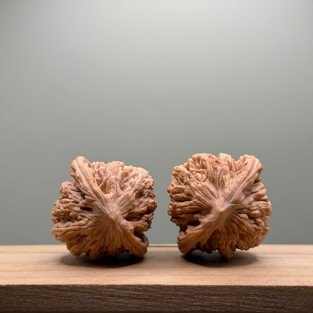 Wheat Ear Tiger Head Walnut