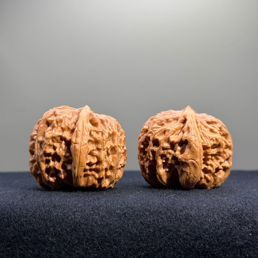 White Lion Wenwan Walnut · 36mm · Select Ritual