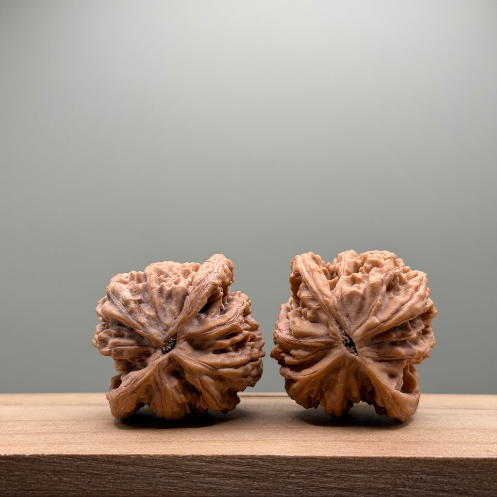 Wheat Ear Tiger Head Walnut