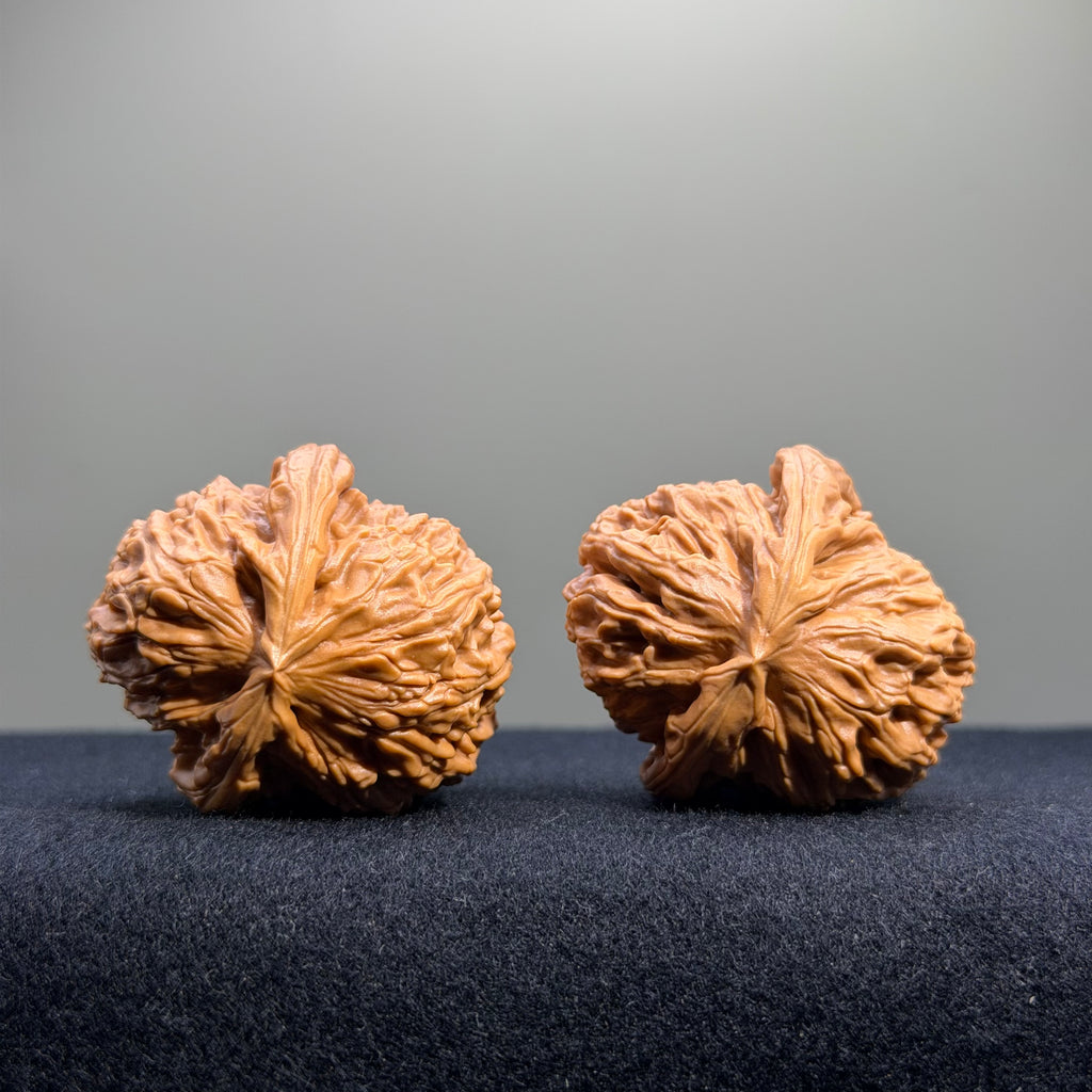 White Lion Wenwan Walnut · 36mm · Select Ritual
