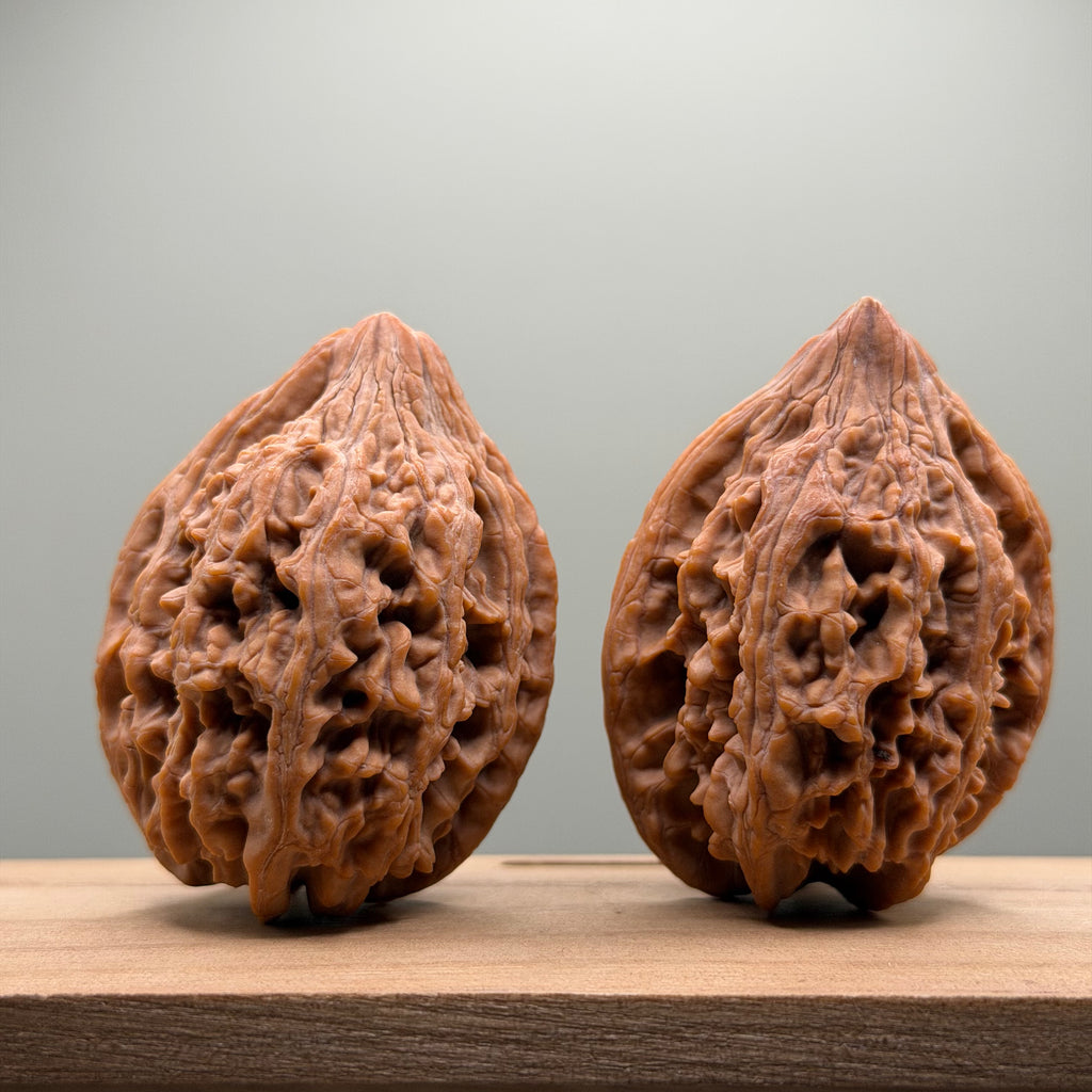 Dagushi Chicken Heart Walnut