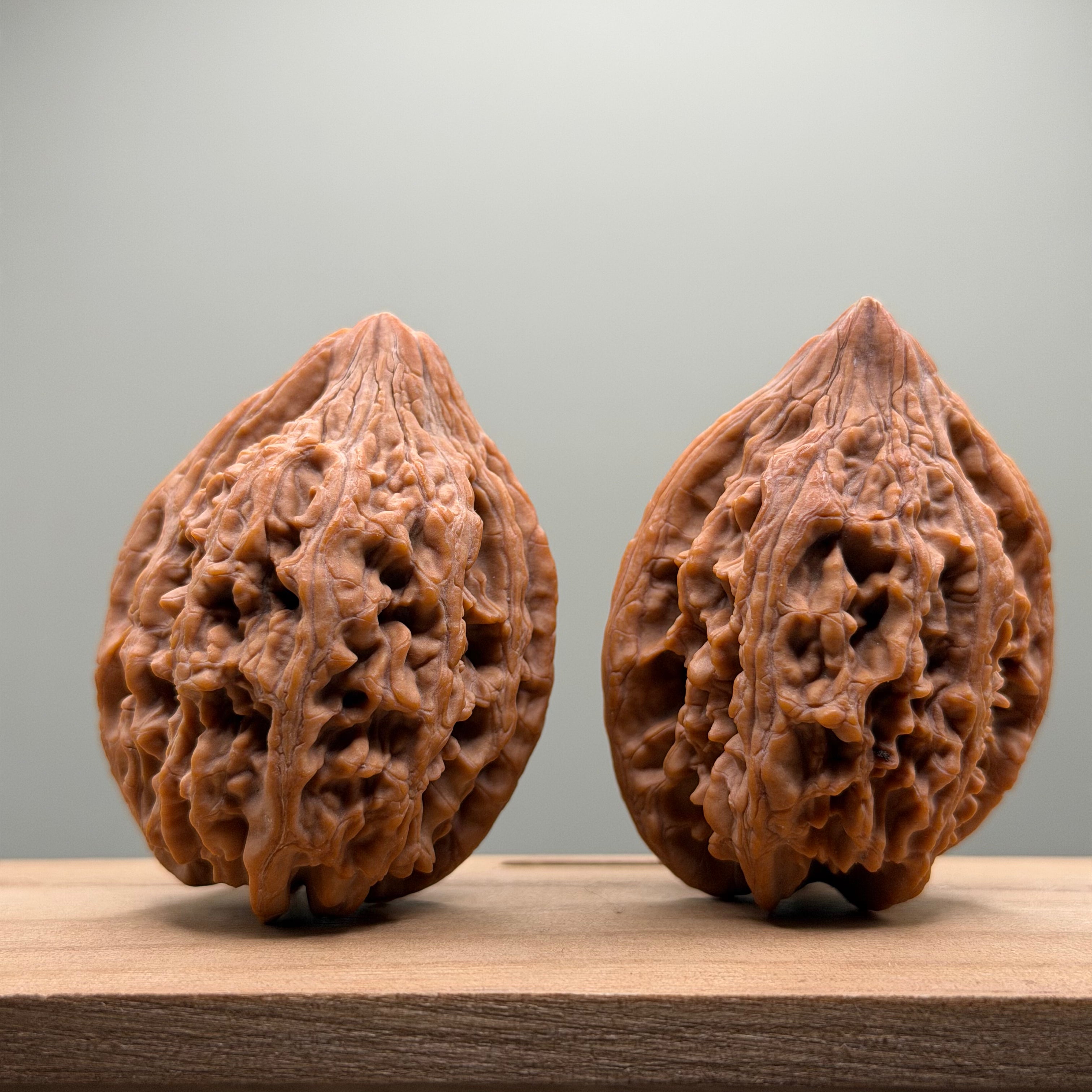 Dagushi Chicken Heart Walnut
