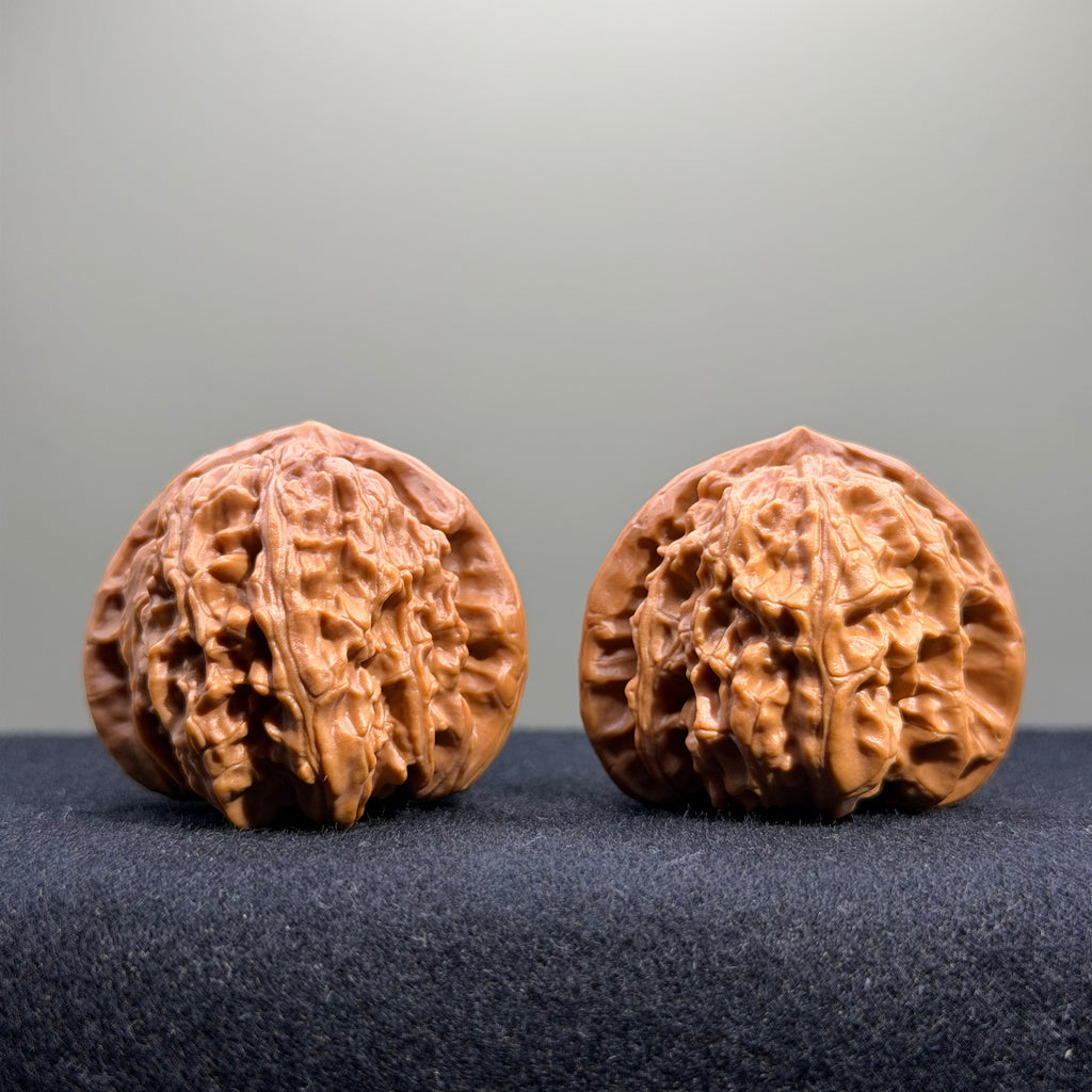 White Lion Wenwan Walnut · 39mm · Select Ritual