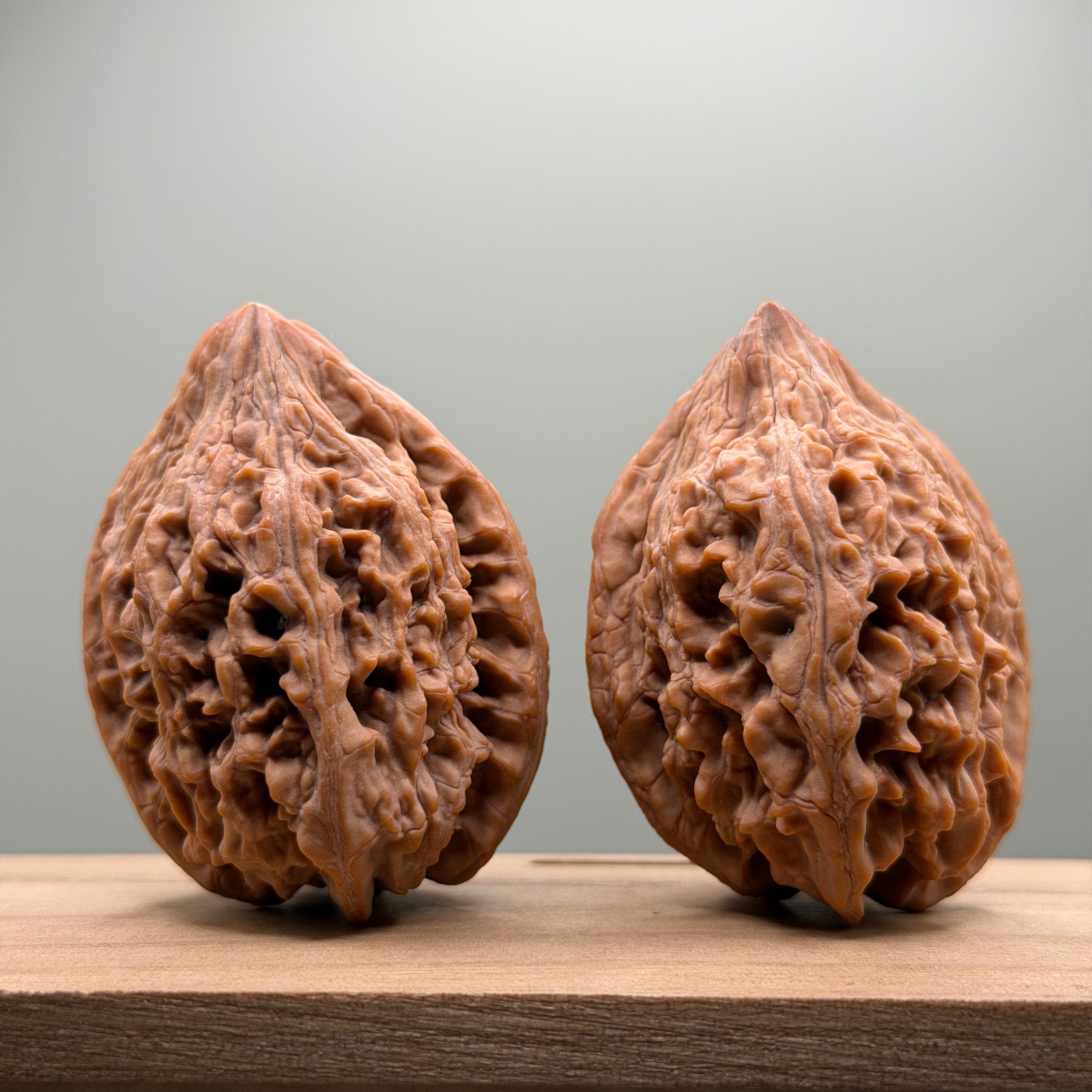 Dagushi Chicken Heart Walnut