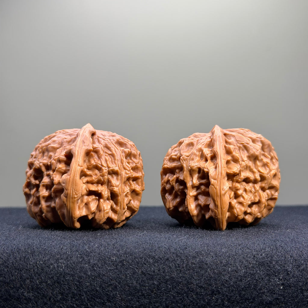 White Lion Wenwan Walnut · 39mm · Select Ritual