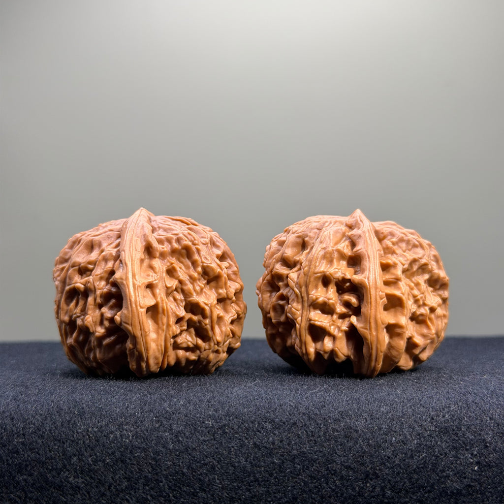 White Lion Wenwan Walnut · 39mm · Select Ritual