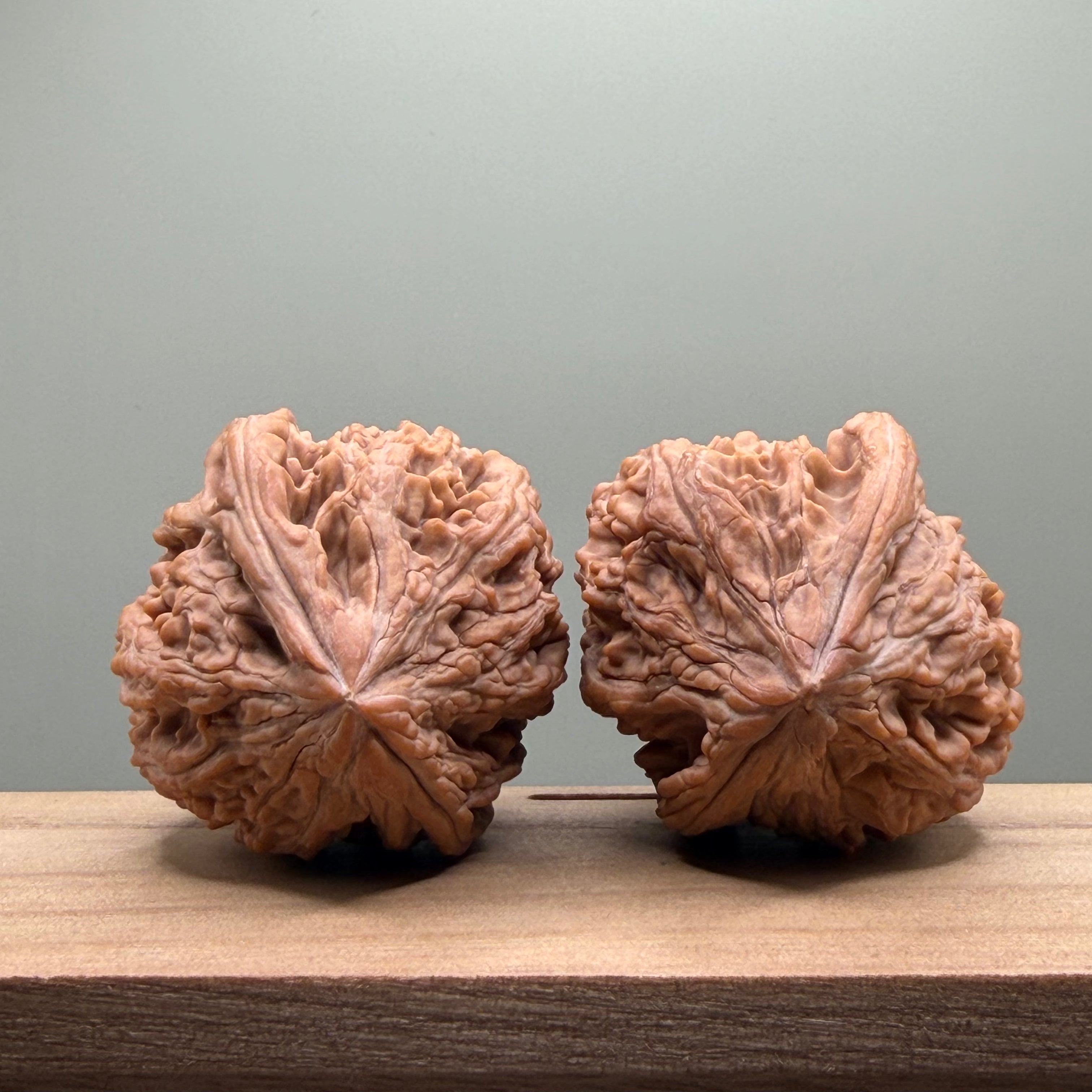 Dagushi Chicken Heart Walnut