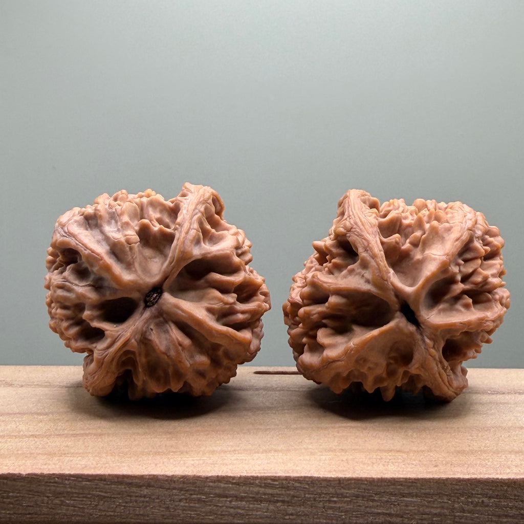Dagushi Chicken Heart Walnut