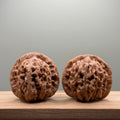 Four Towers Wenwan Walnut