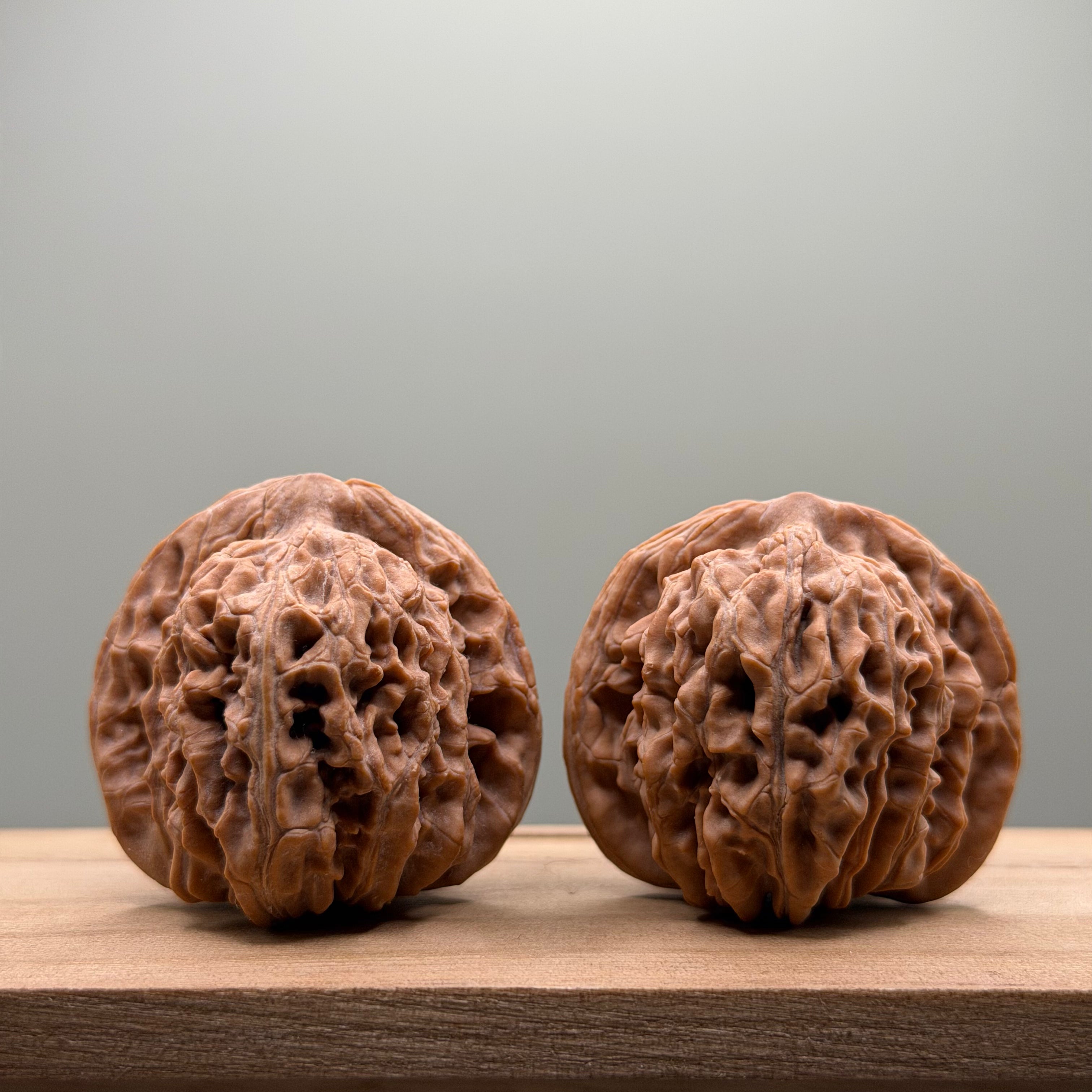 Four Towers Wenwan Walnut
