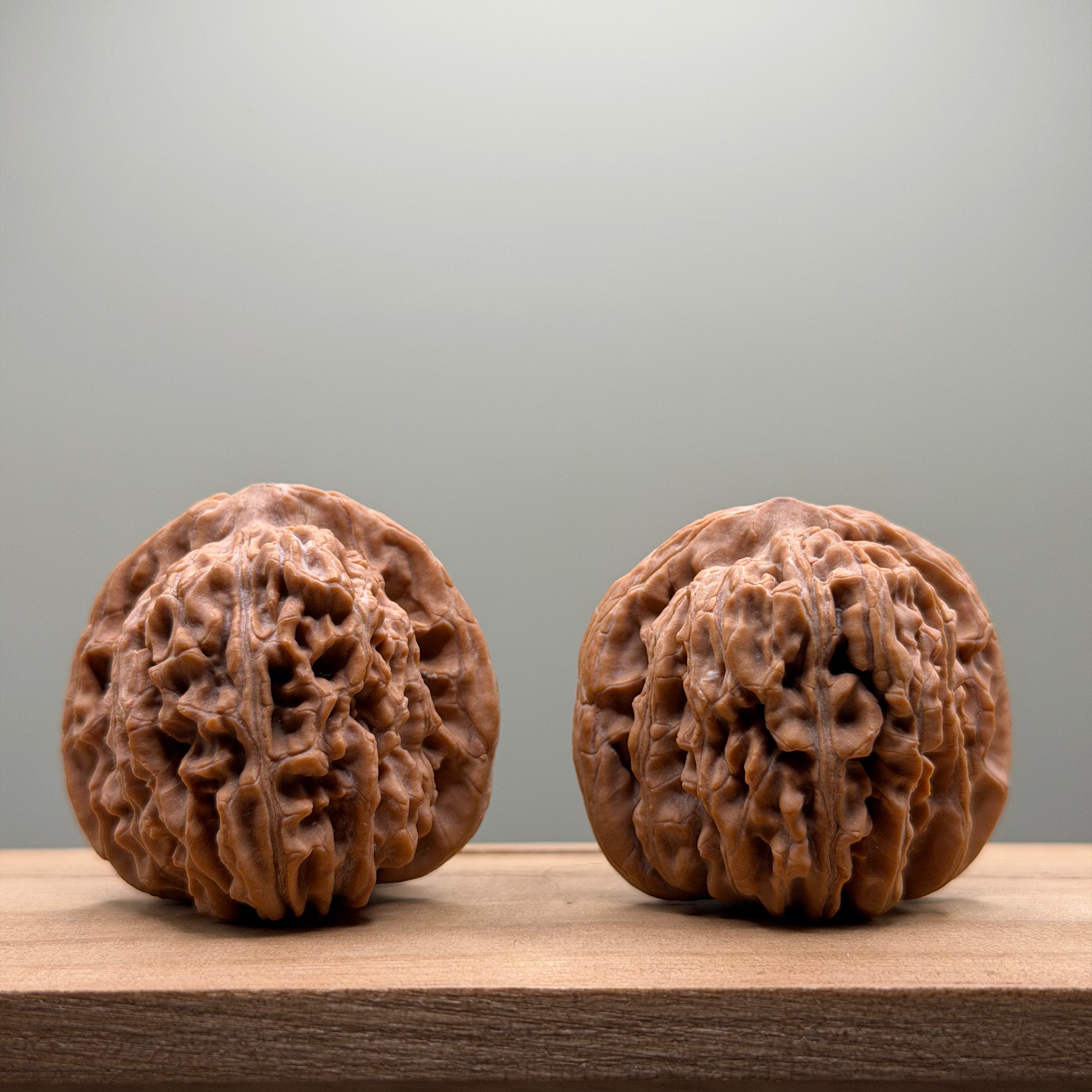 Four Towers Wenwan Walnut