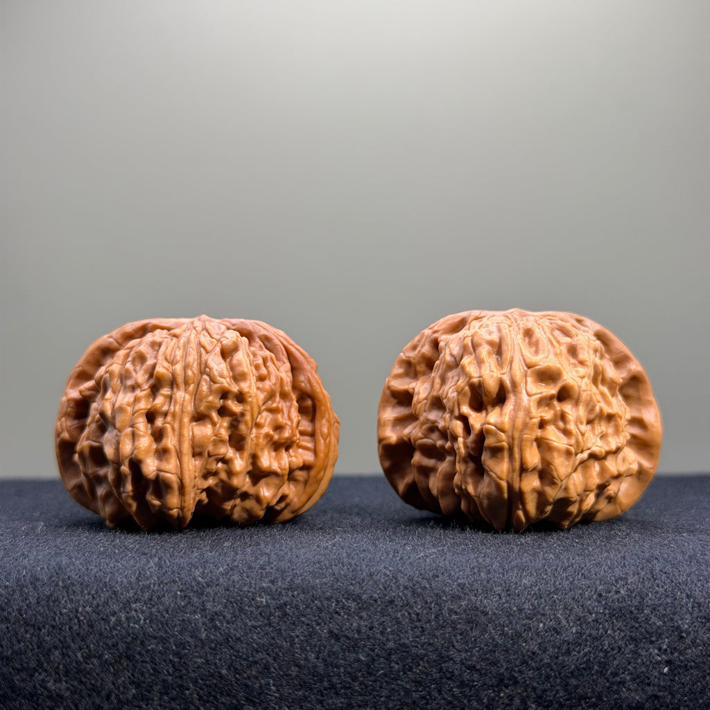White Lion Wenwan Walnut · 40mm · Select Ritual