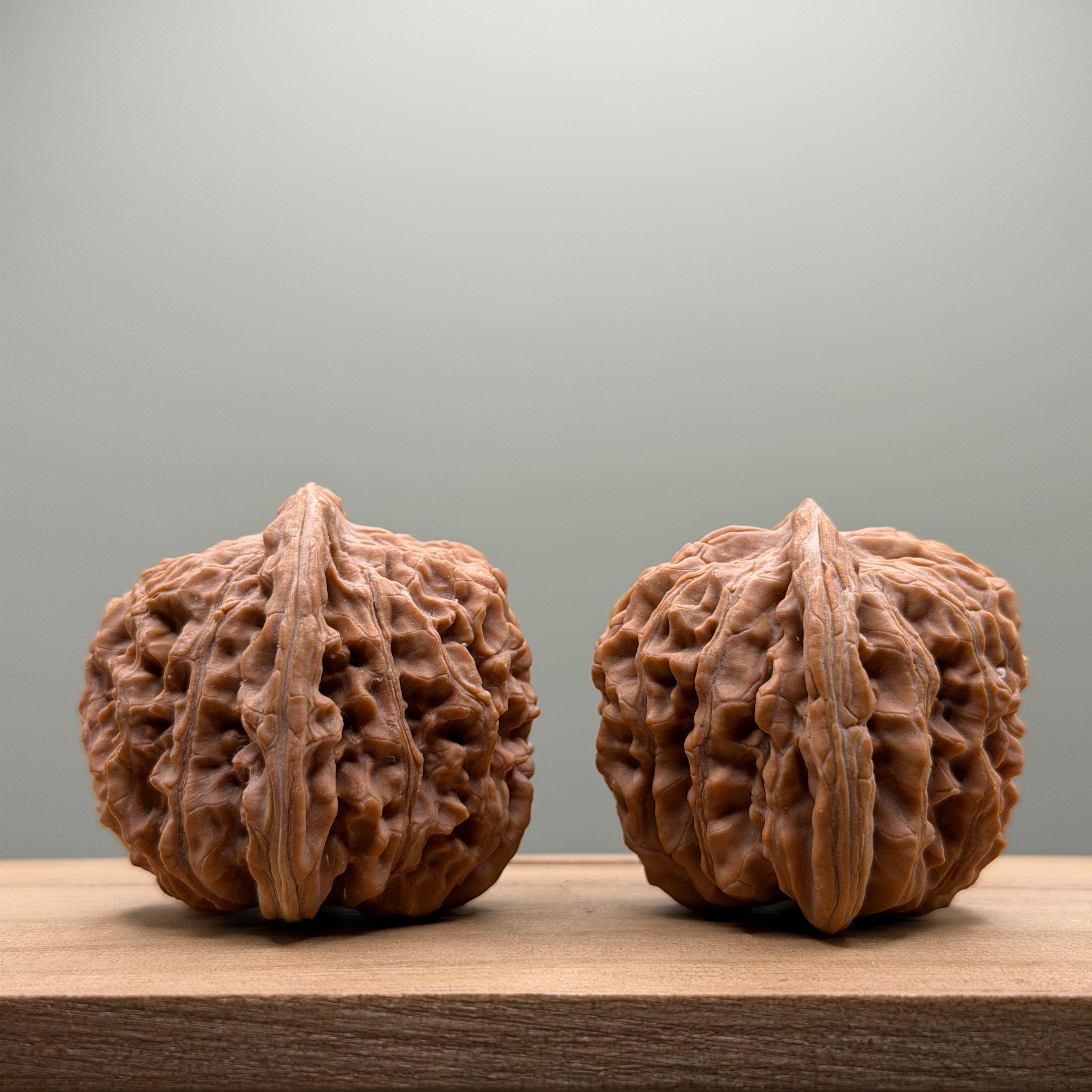 Four Towers Wenwan Walnut