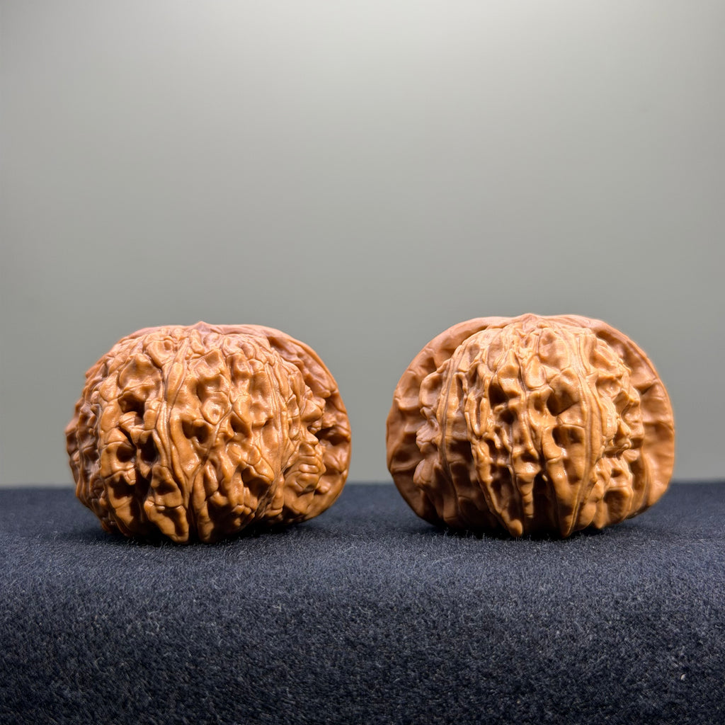 White Lion Wenwan Walnut · 40mm · Select Ritual