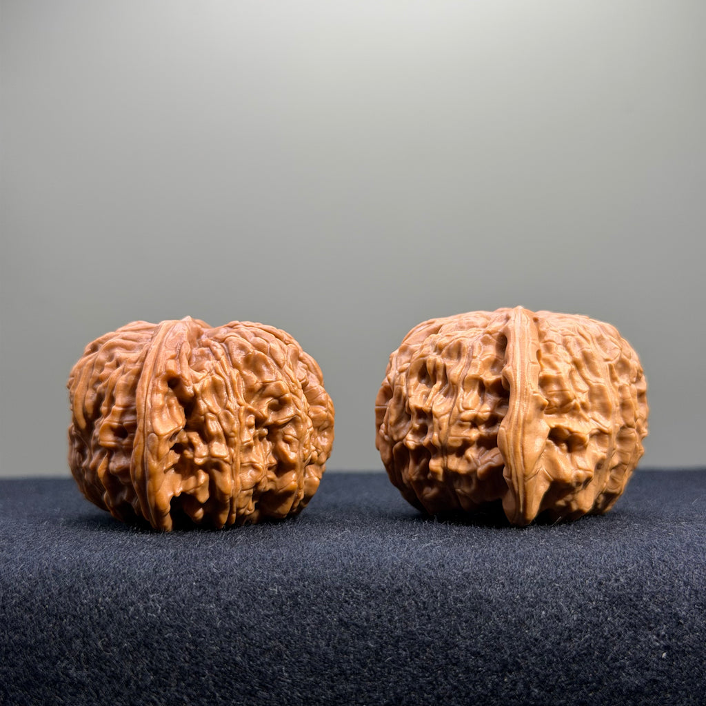 White Lion Wenwan Walnut · 40mm · Select Ritual
