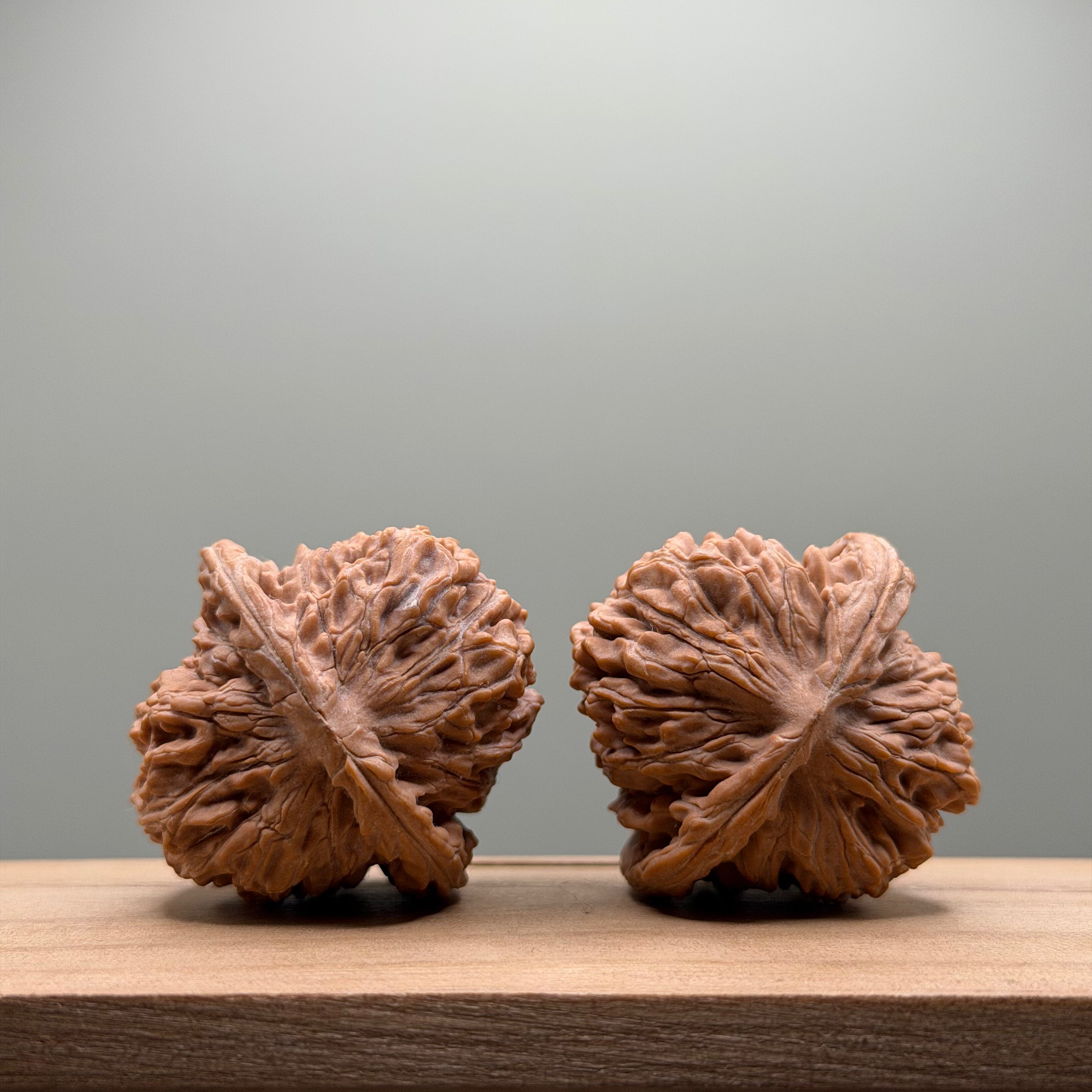 Four Towers Wenwan Walnut