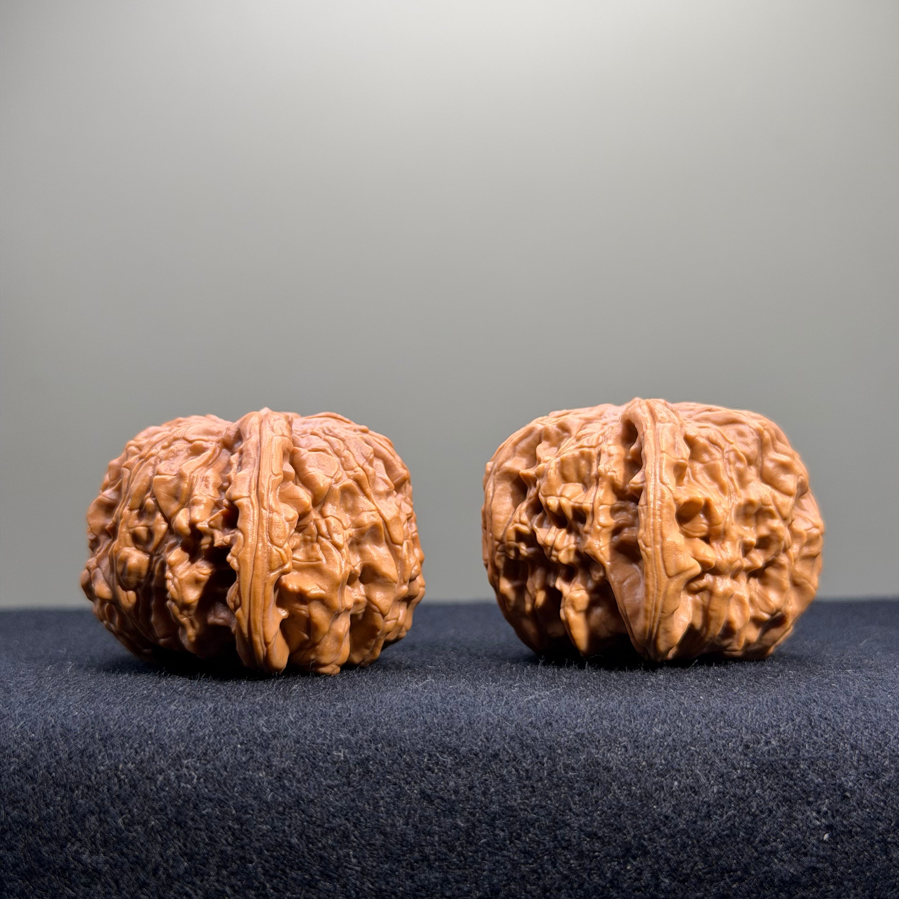 White Lion Wenwan Walnut · 40mm · Select Ritual