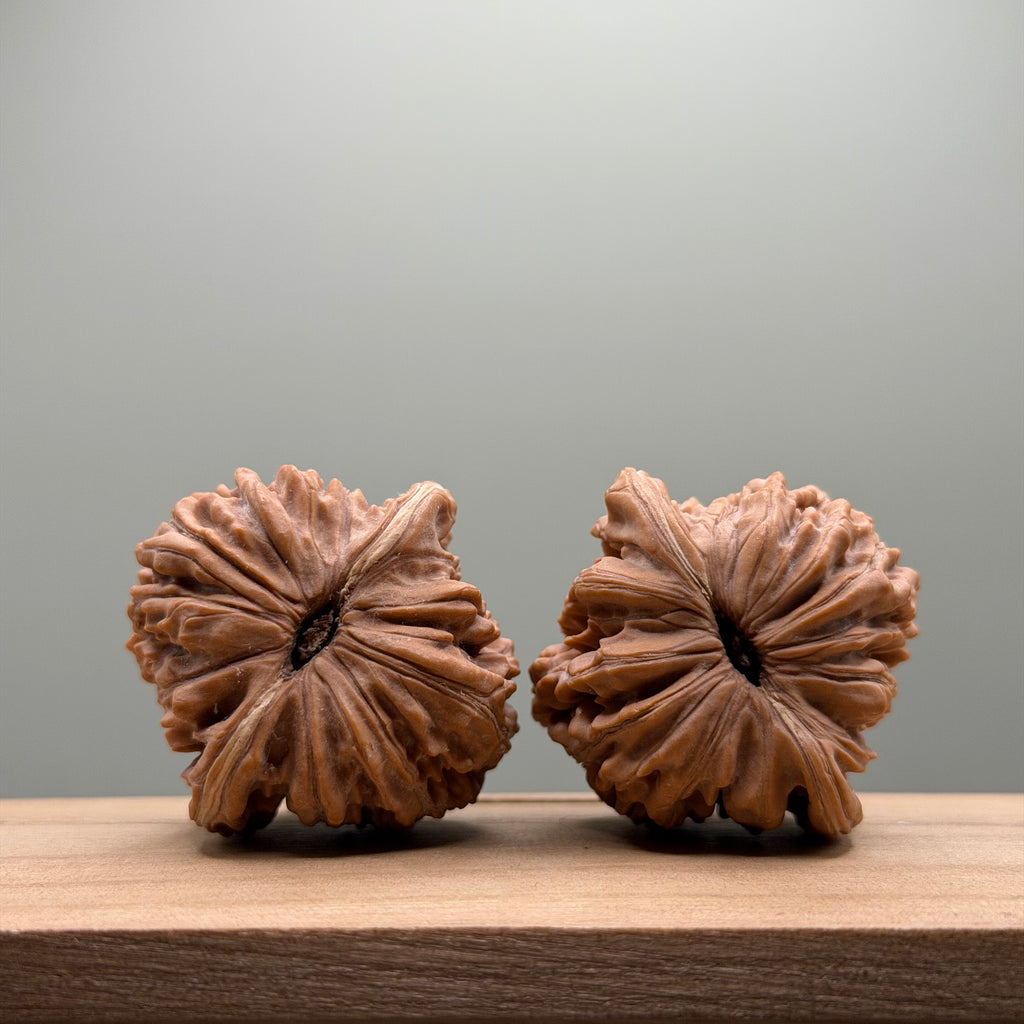 Four Towers Wenwan Walnut