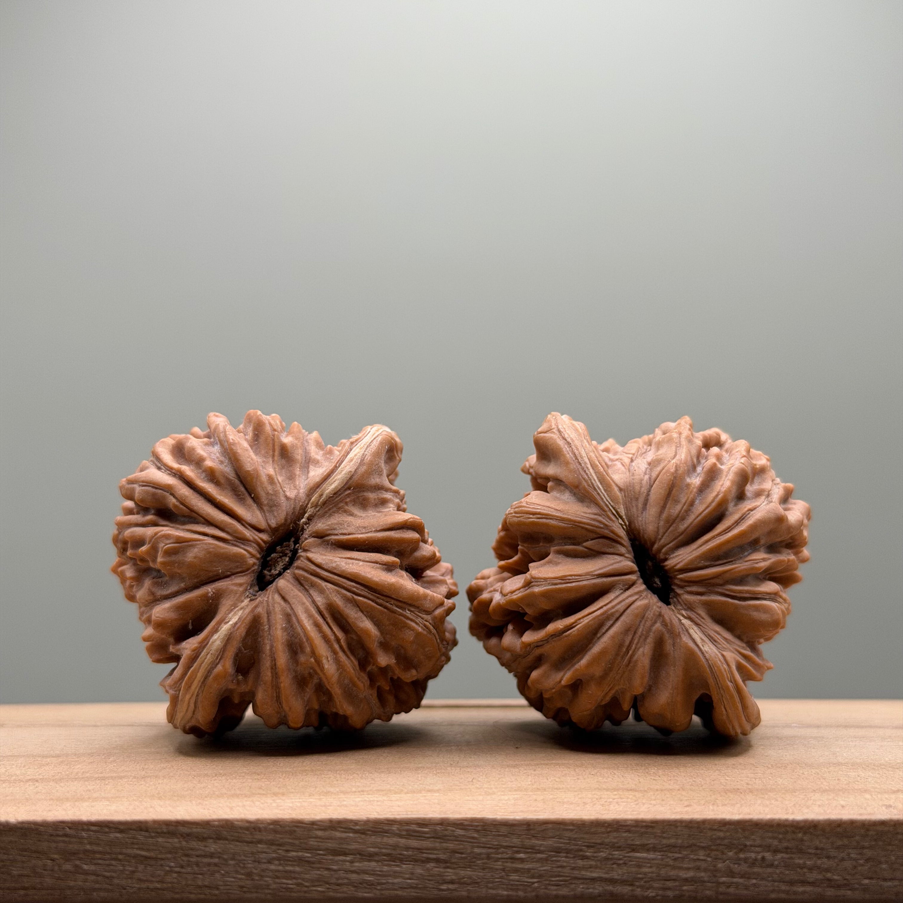 Four Towers Wenwan Walnut