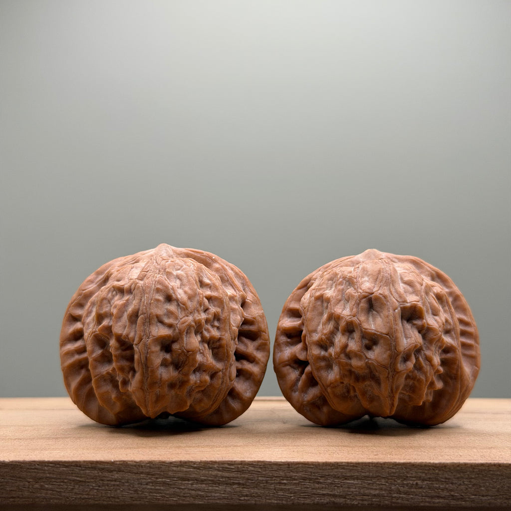 War Drum Lion Head Walnut