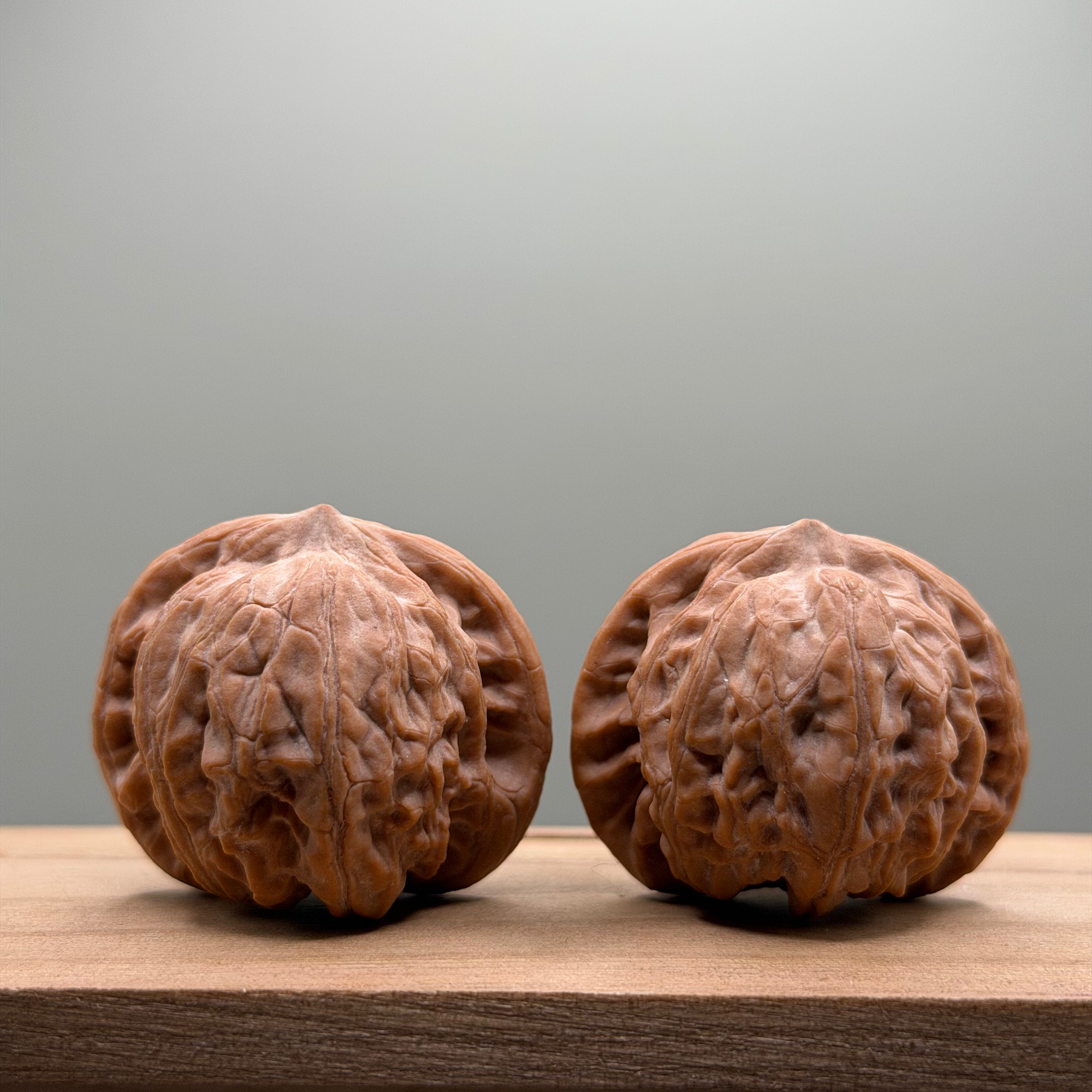War Drum Lion Head Walnut