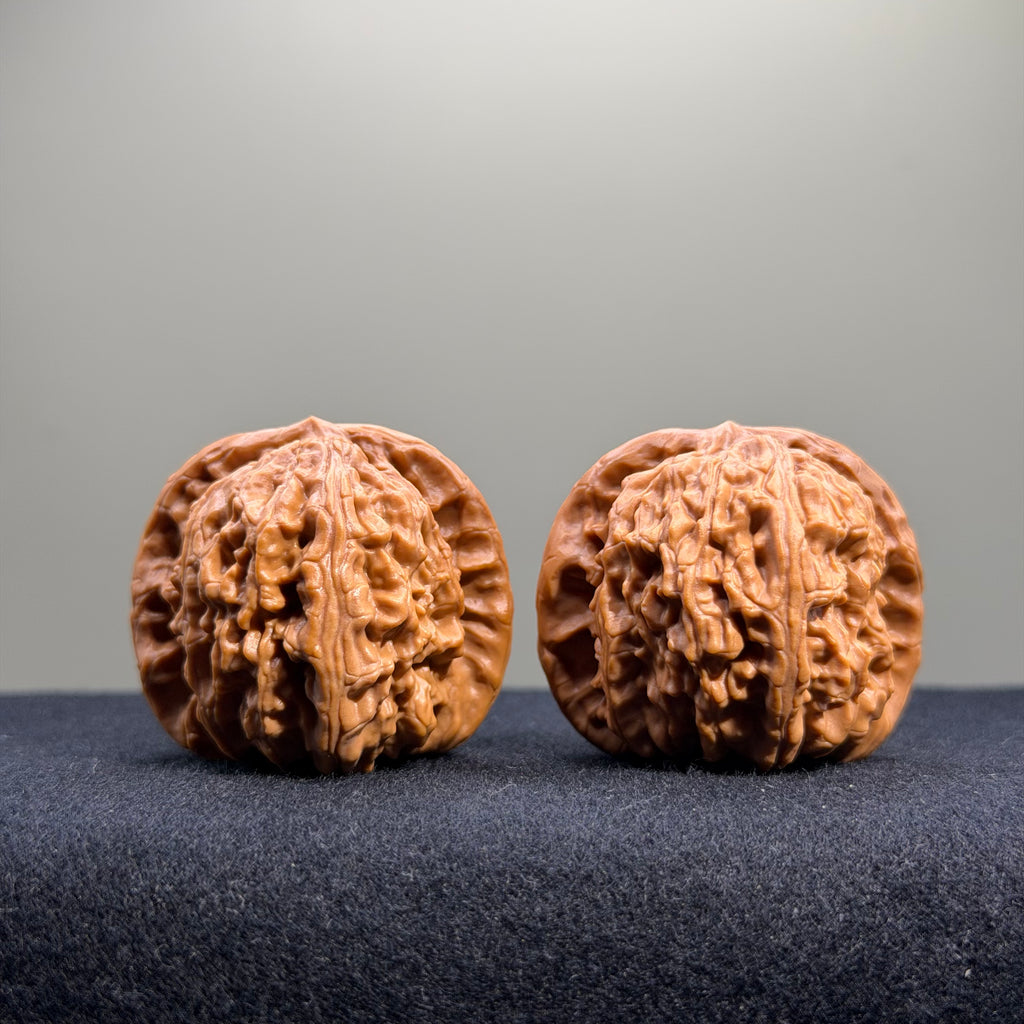White Lion Wenwan Walnut · 38mm · Select Ritual