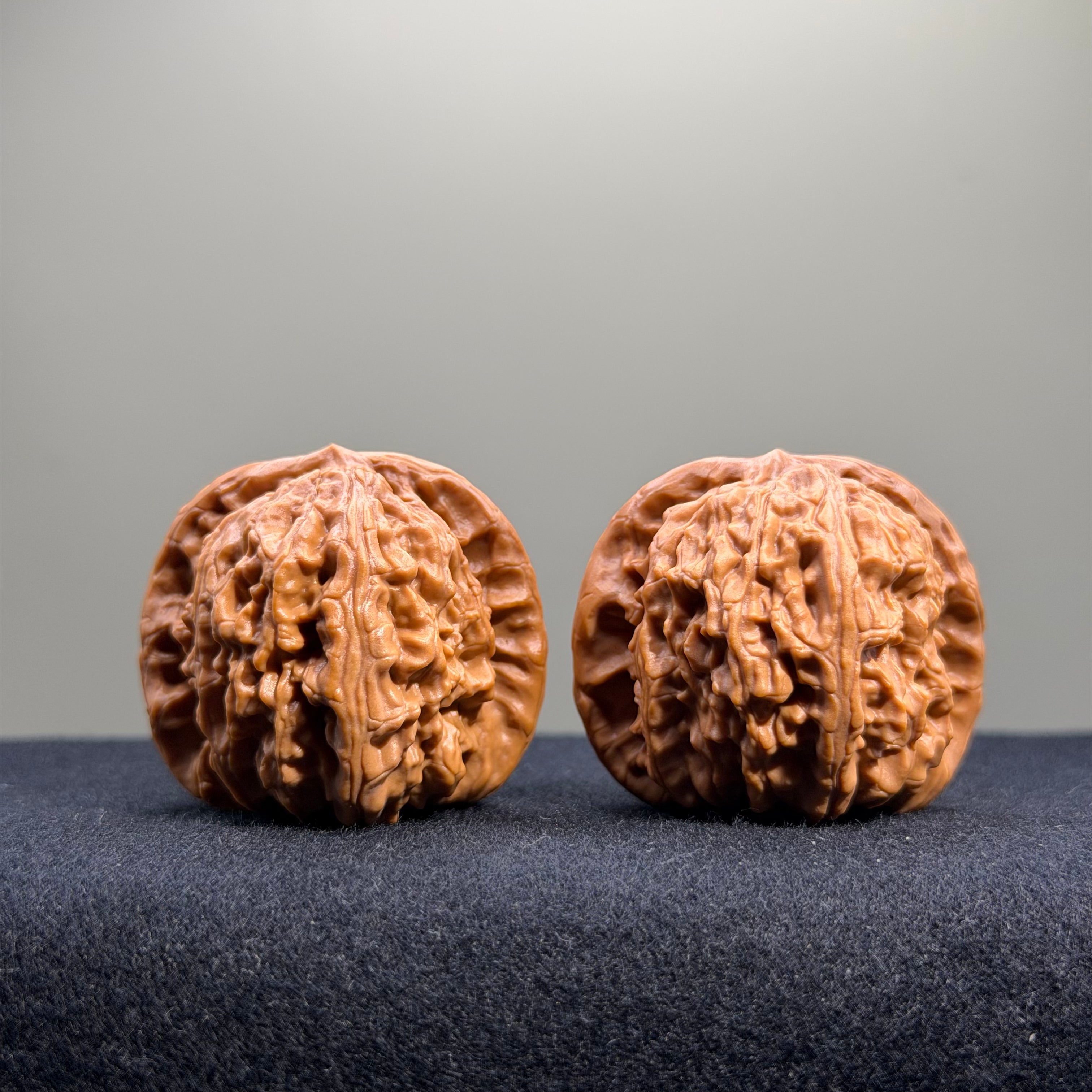 White Lion Wenwan Walnut · 38mm · Select Ritual