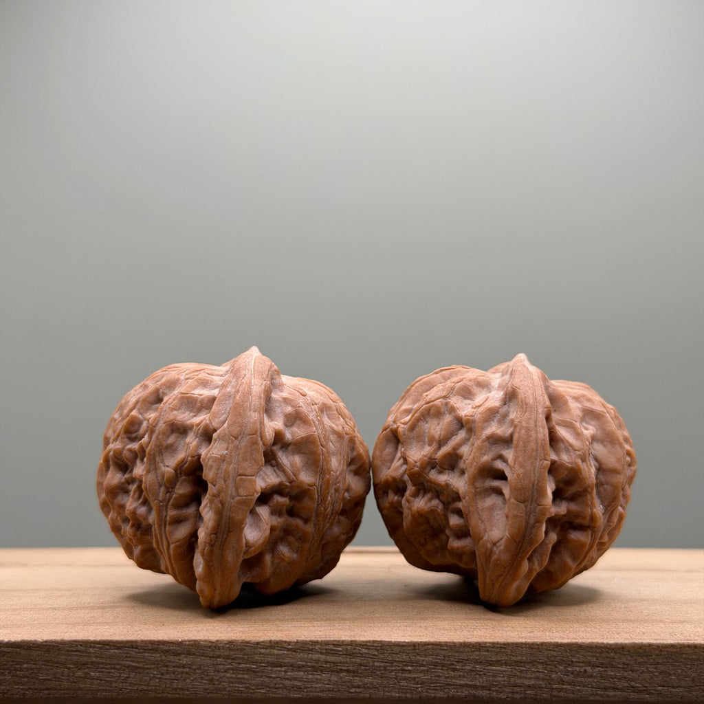 War Drum Lion Head Walnut