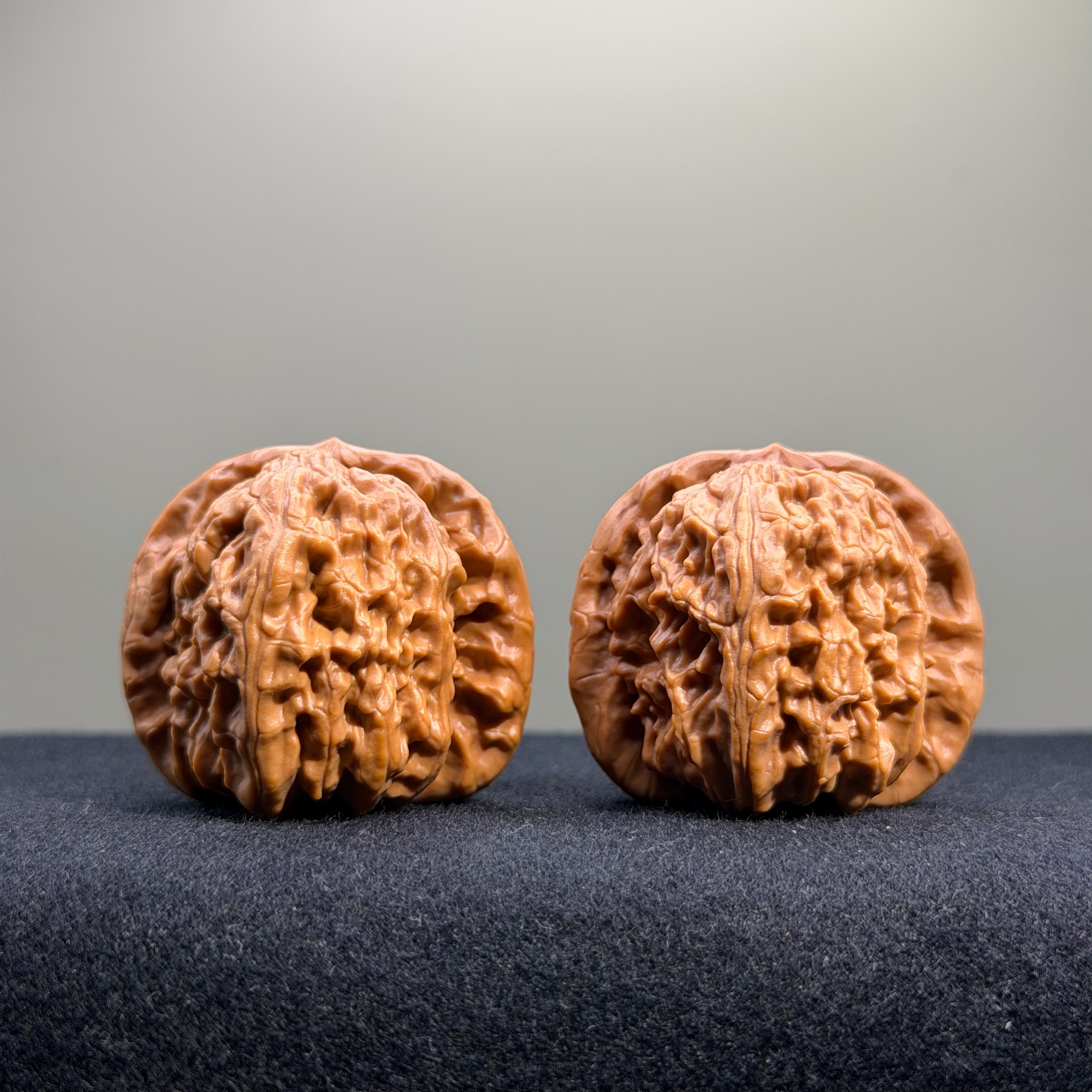 White Lion Wenwan Walnut · 38mm · Select Ritual