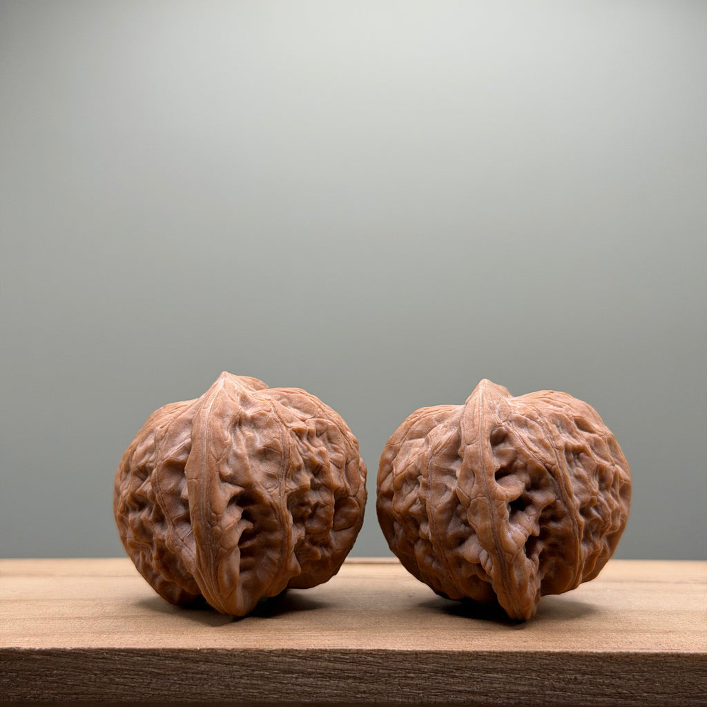 War Drum Lion Head Walnut