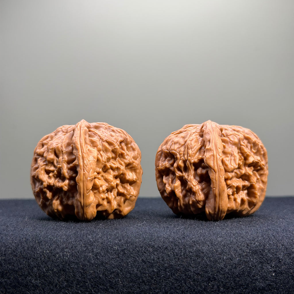 White Lion Wenwan Walnut · 38mm · Select Ritual
