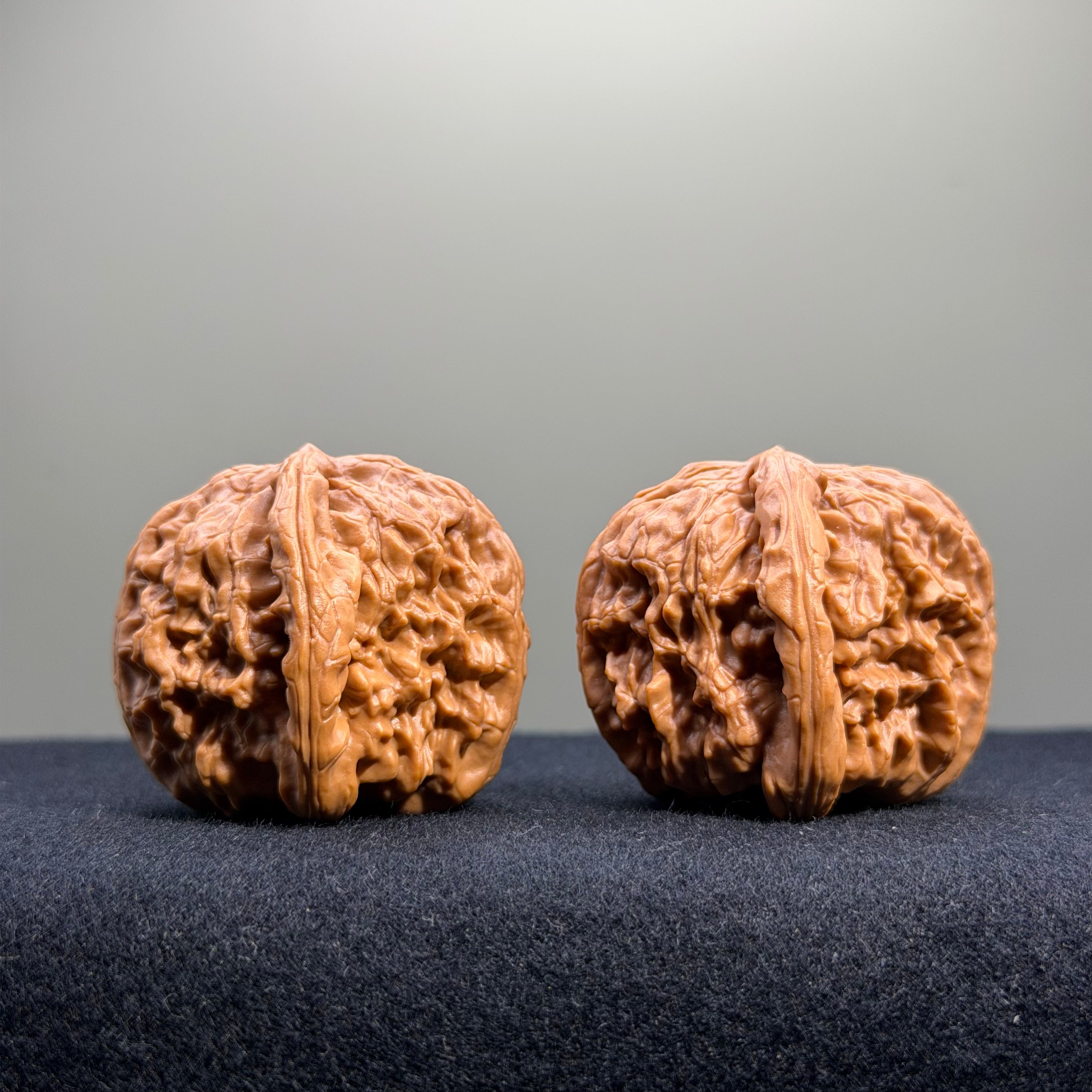 White Lion Wenwan Walnut · 38mm · Select Ritual