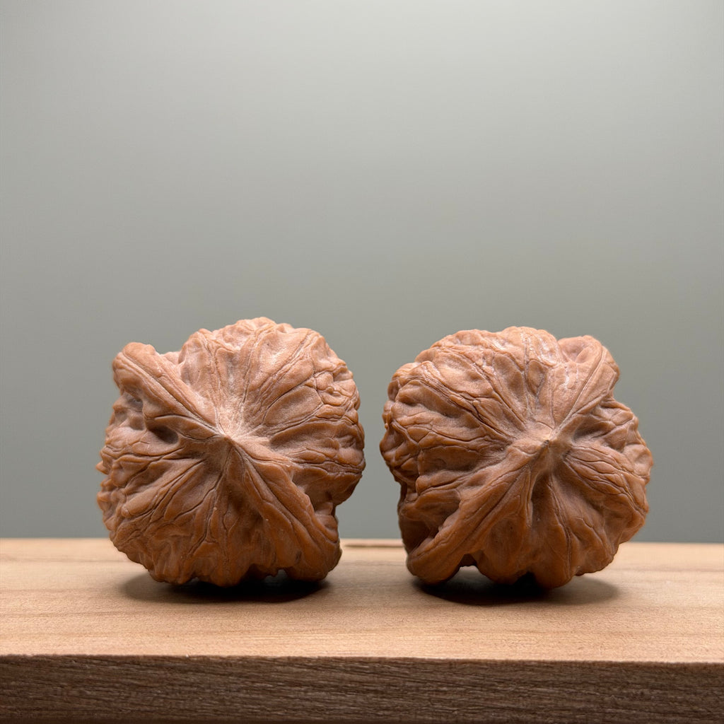 War Drum Lion Head Walnut