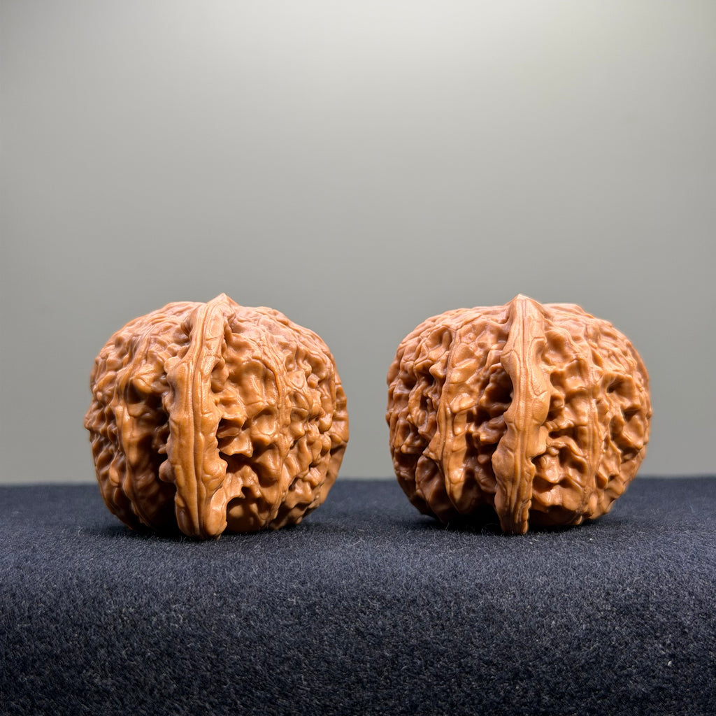 White Lion Wenwan Walnut · 38mm · Select Ritual