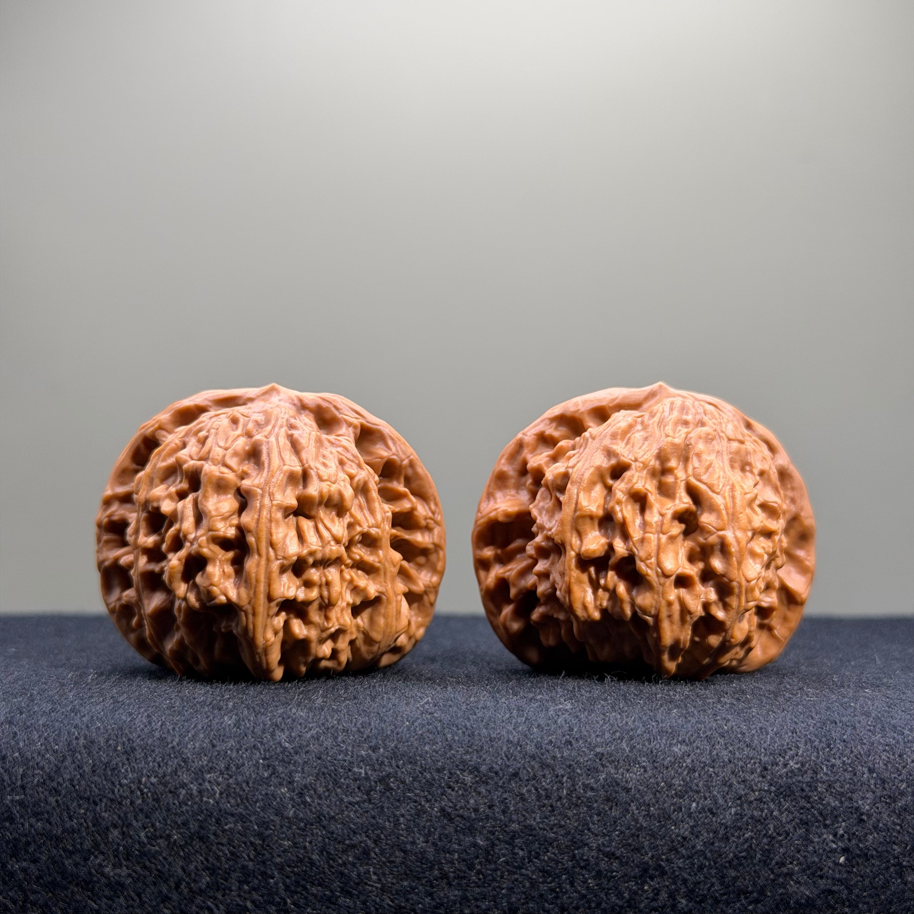White Lion Wenwan Walnut · 40mm · Select Ritual