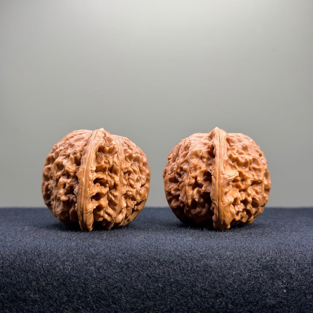 White Lion Wenwan Walnut · 40mm · Select Ritual