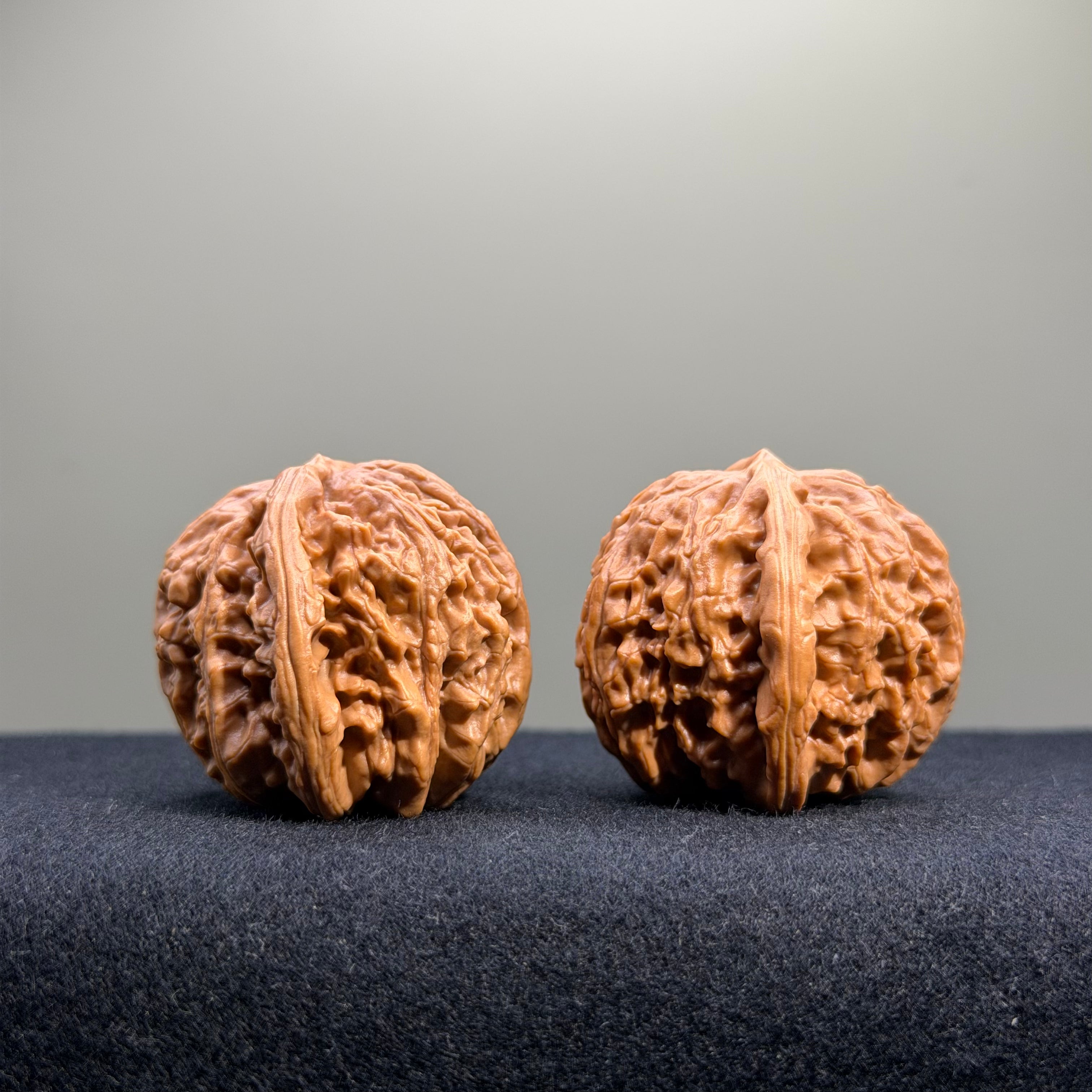 White Lion Wenwan Walnut · 40mm · Select Ritual
