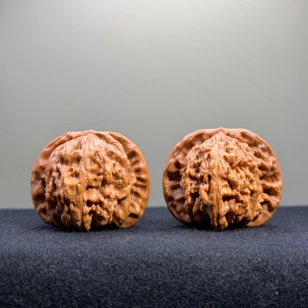White Lion Wenwan Walnut · 40mm · Select Ritual