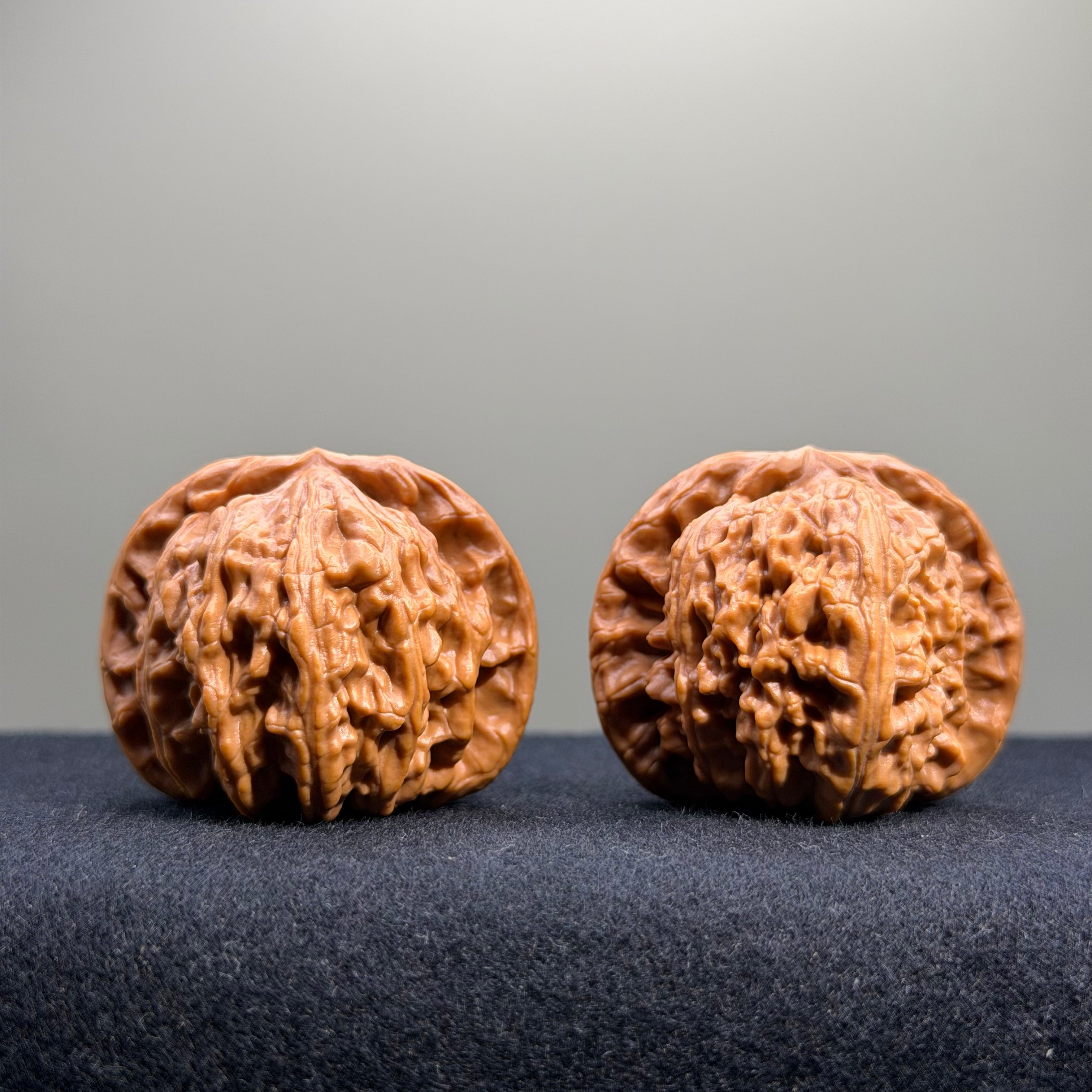 White Lion Wenwan Walnut · 40mm · Select Ritual
