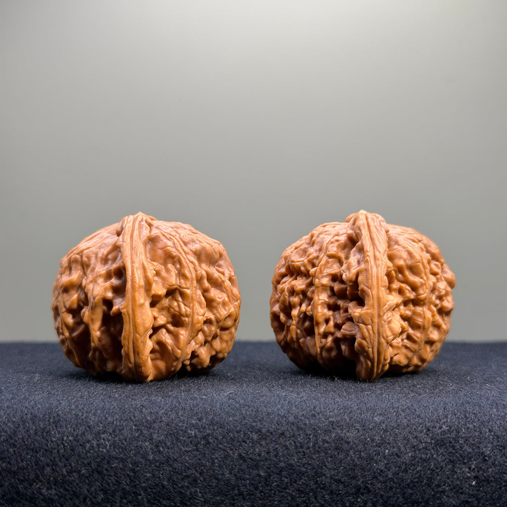 White Lion Wenwan Walnut · 40mm · Select Ritual