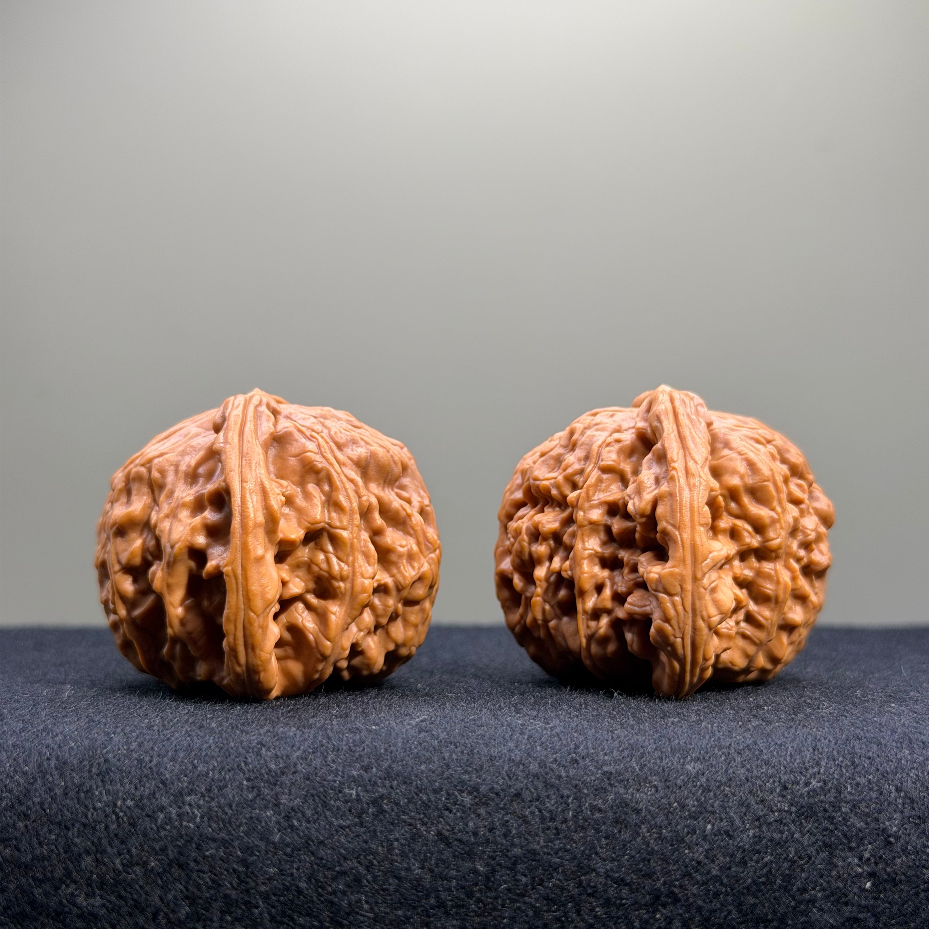 White Lion Wenwan Walnut · 40mm · Select Ritual