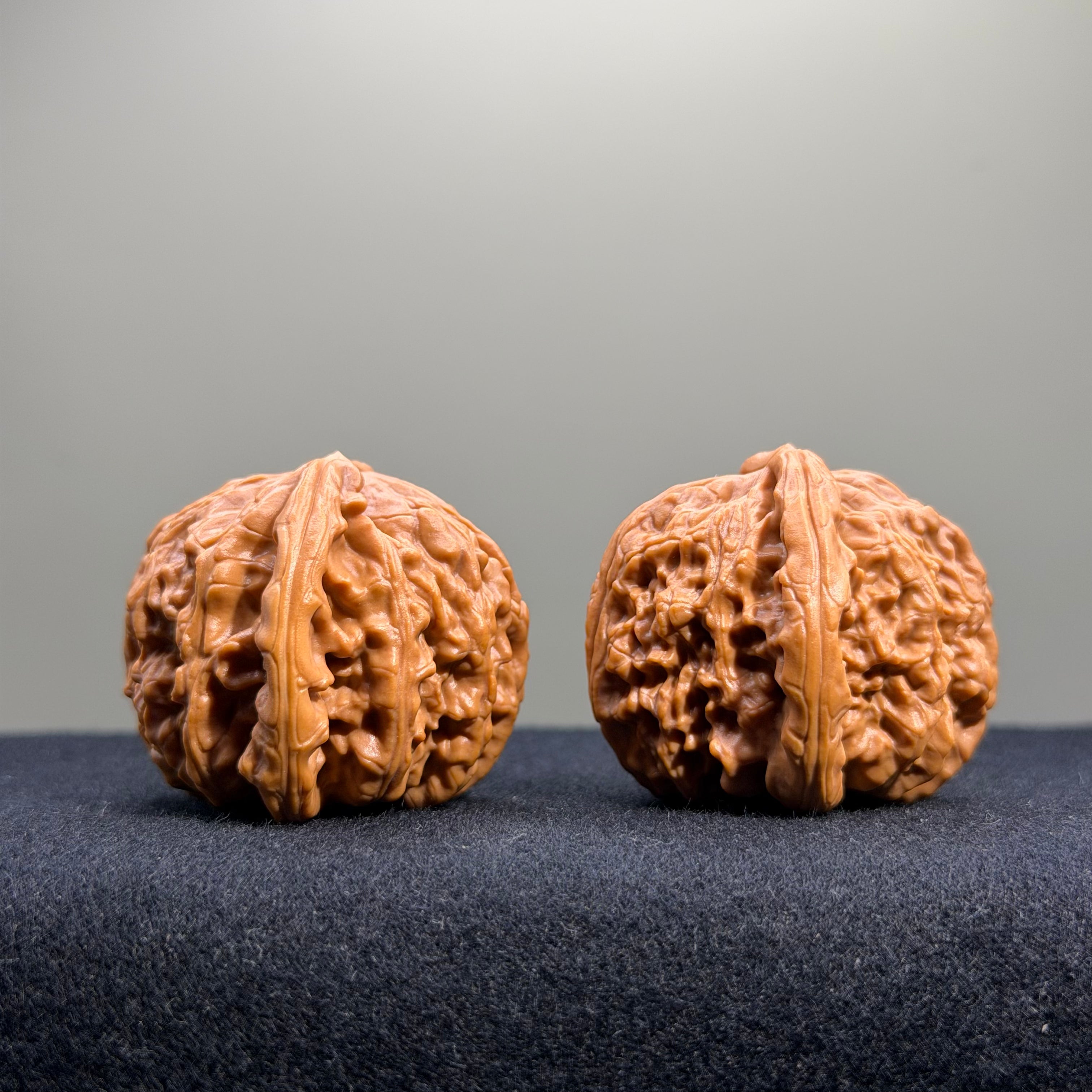 White Lion Wenwan Walnut · 40mm · Select Ritual