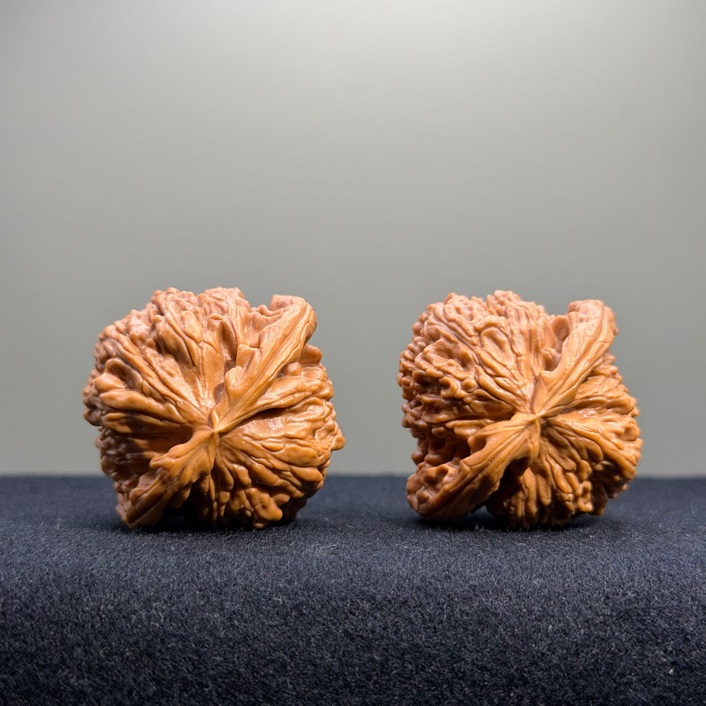 White Lion Wenwan Walnut · 40mm · Select Ritual
