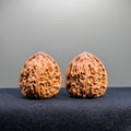 Nanjiang Stone Wenwan Walnut · 37mm · Select Ritual