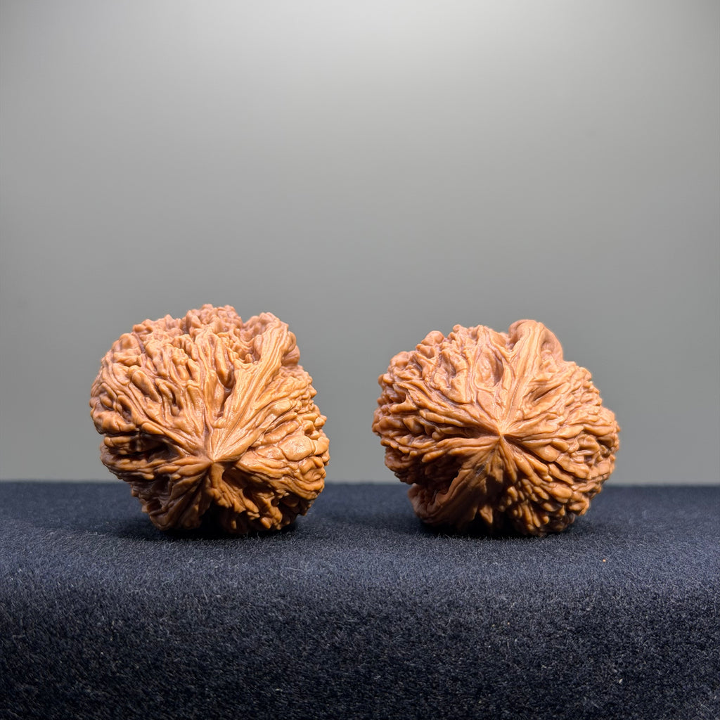 Nanjiang Stone Wenwan Walnut · 37mm · Select Ritual