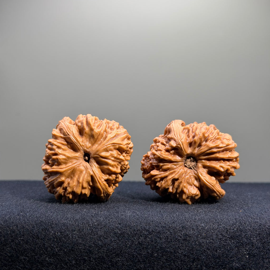 Nanjiang Stone Wenwan Walnut · 37mm · Select Ritual