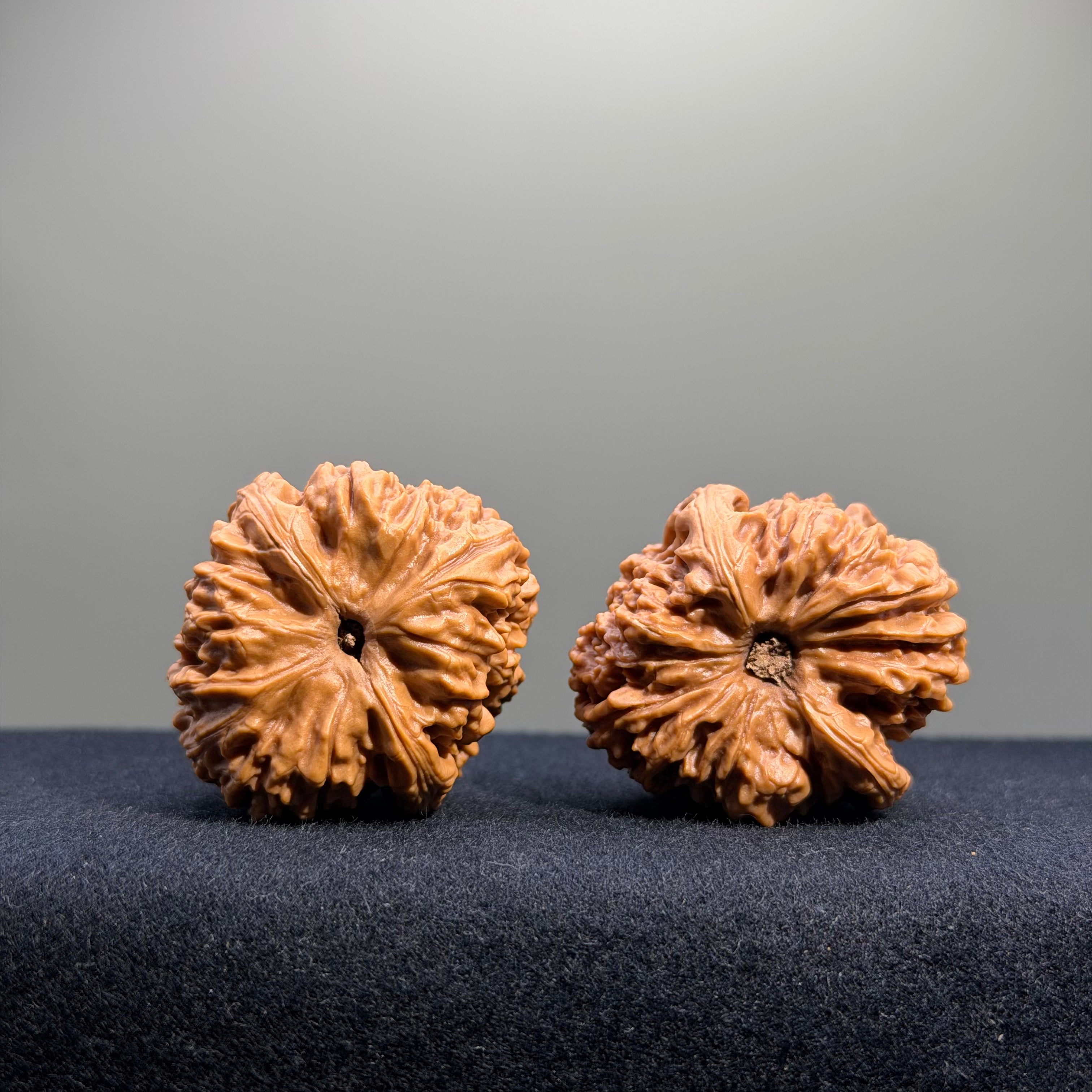 Nanjiang Stone Wenwan Walnut · 37mm · Select Ritual